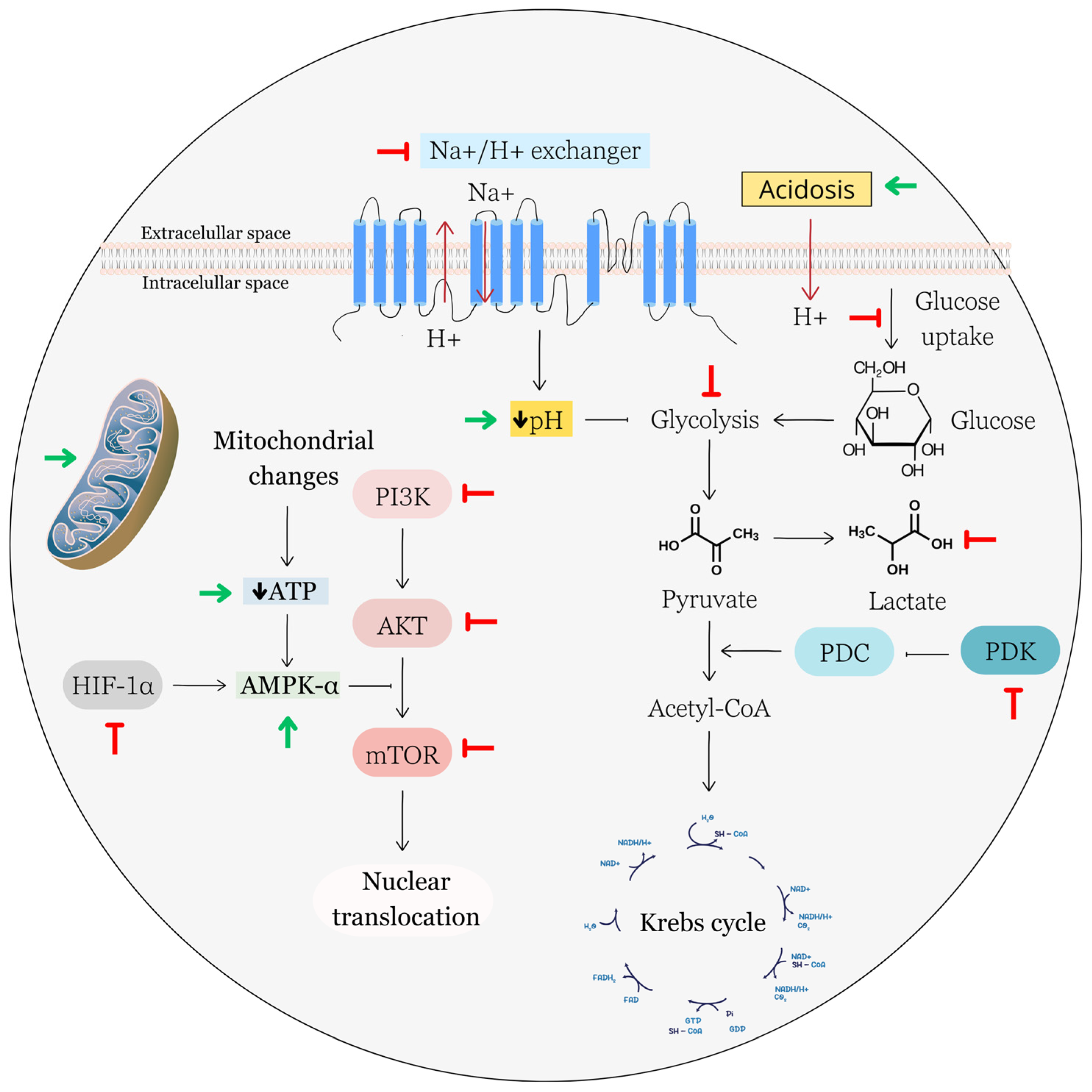 Biomolecules 13 01653 g005