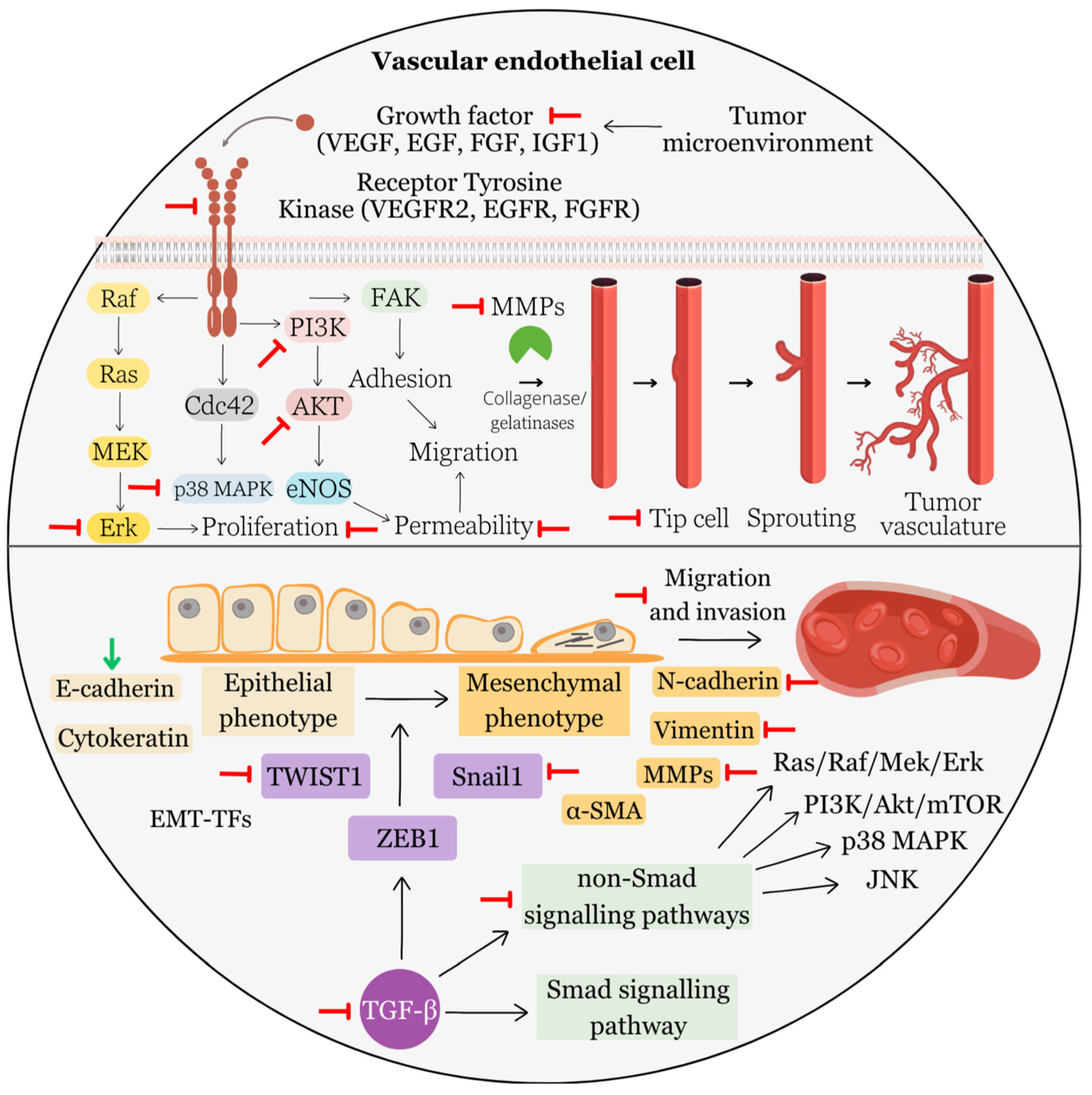 Biomolecules 13 01653 g006