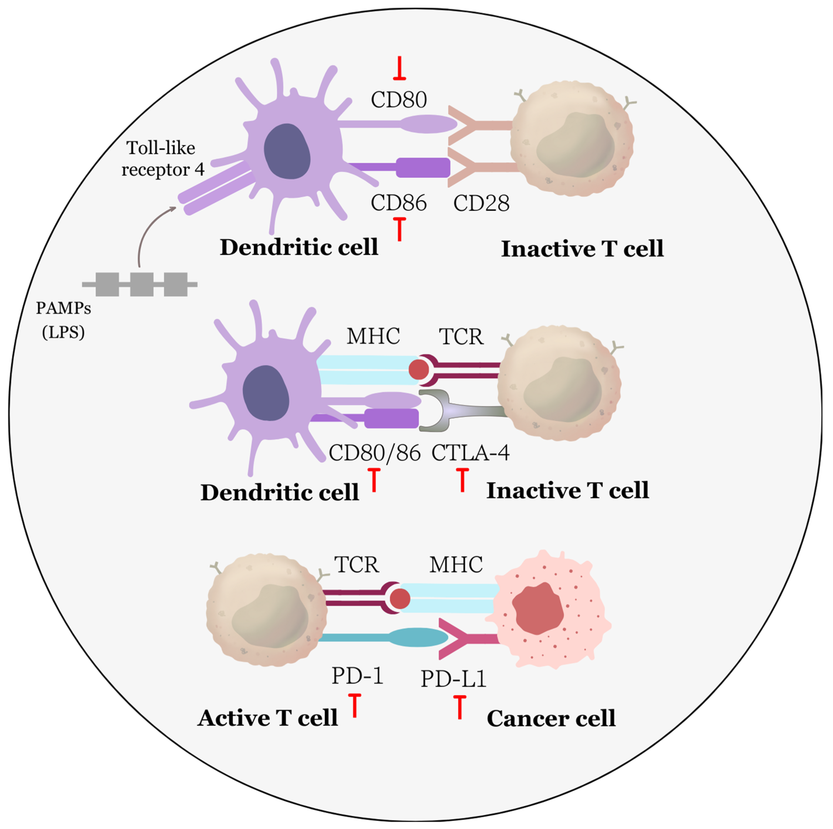 Biomolecules 13 01653 g007