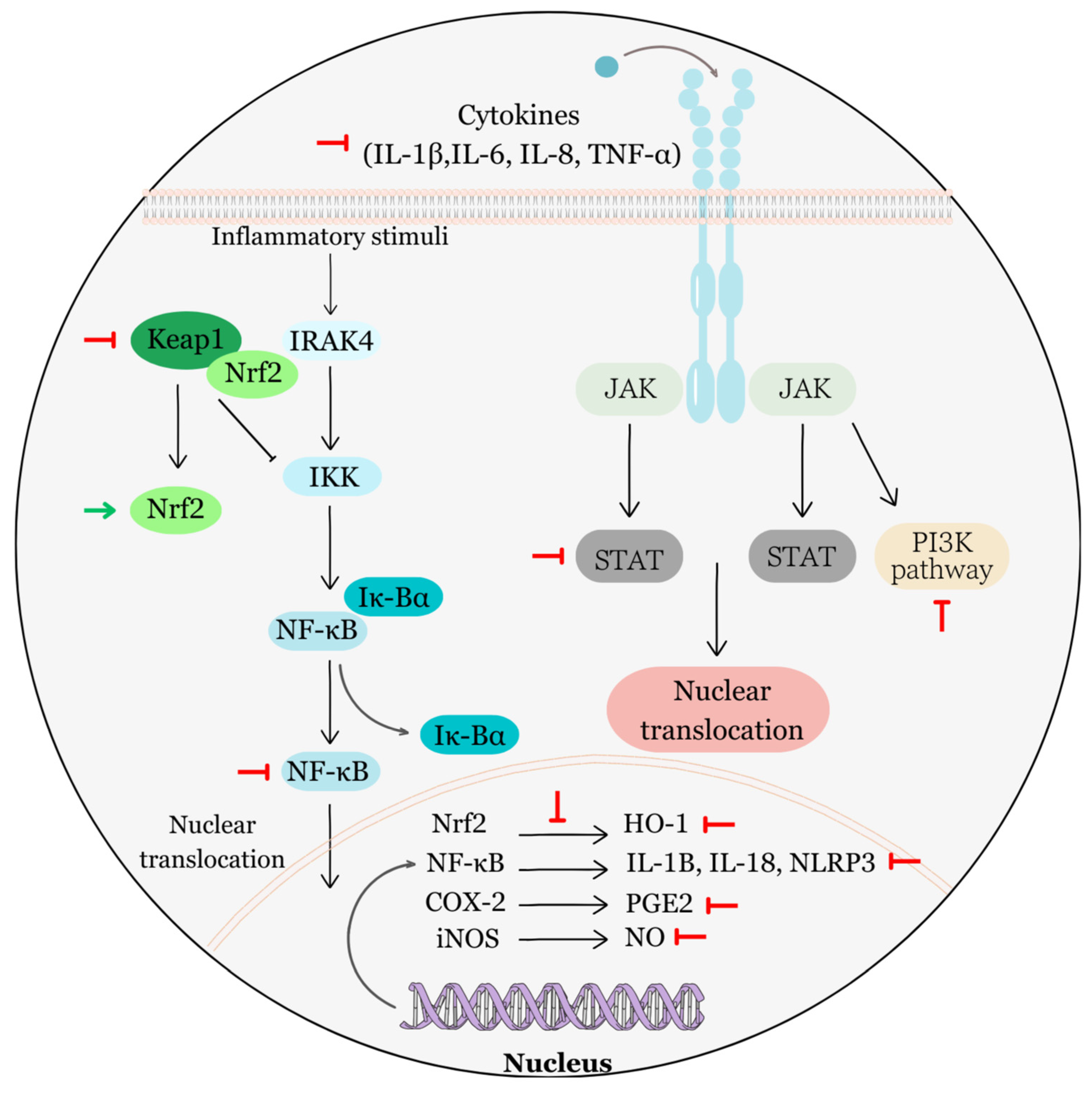 Biomolecules 13 01653 g008