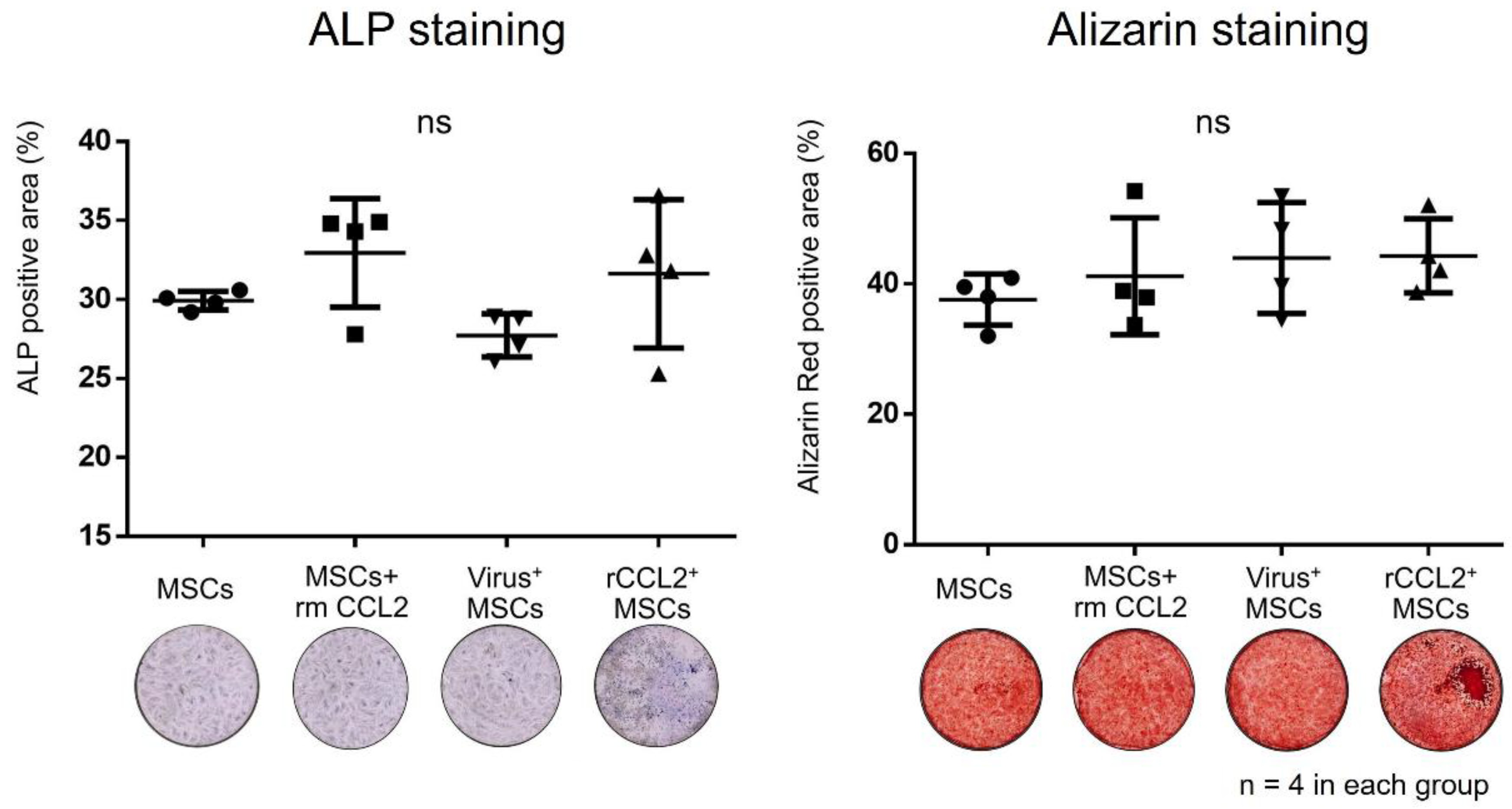 Biomolecules 13 01665 g003