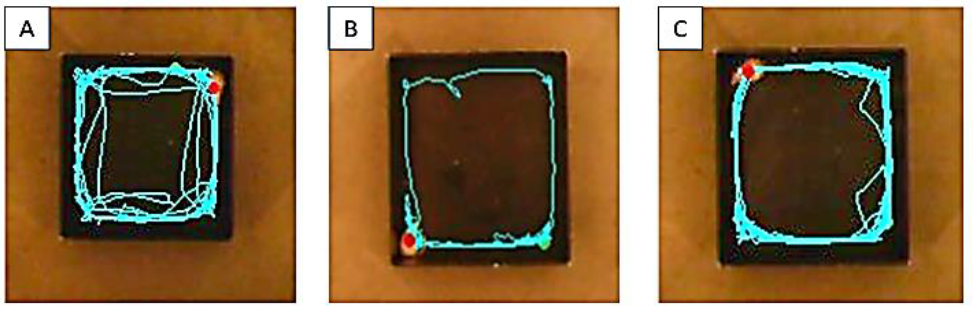 Biomolecules 13 01667 g005