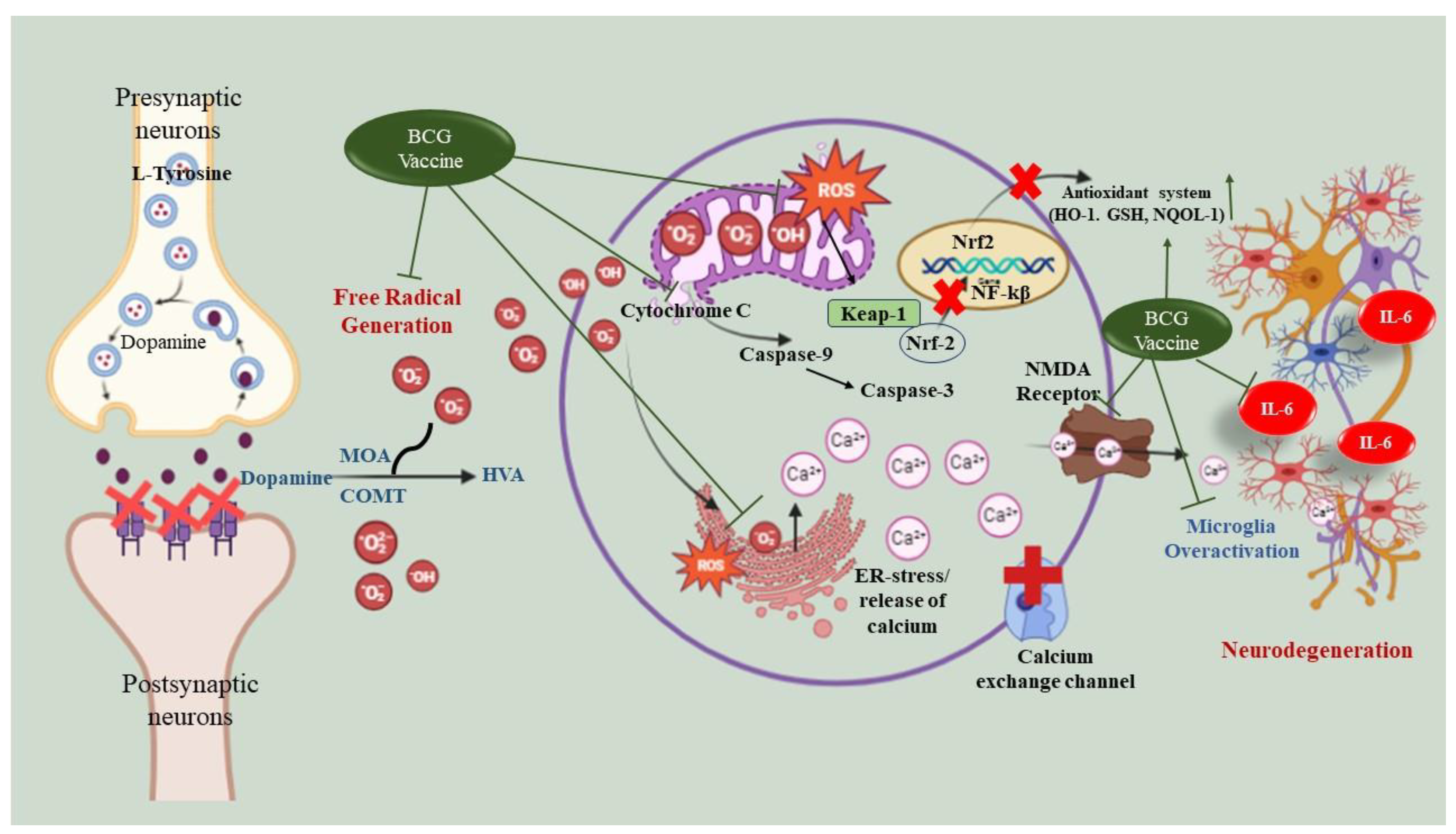 Biomolecules 13 01667 g010