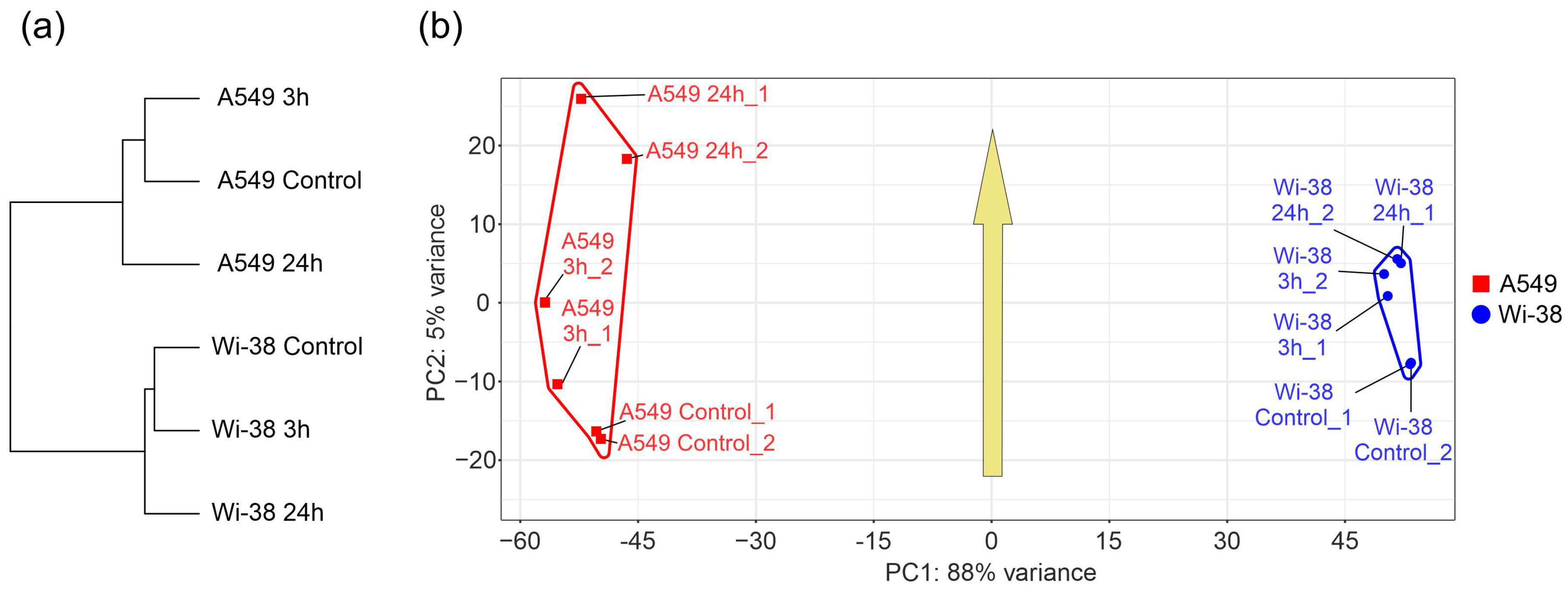 Biomolecules 13 01672 g002