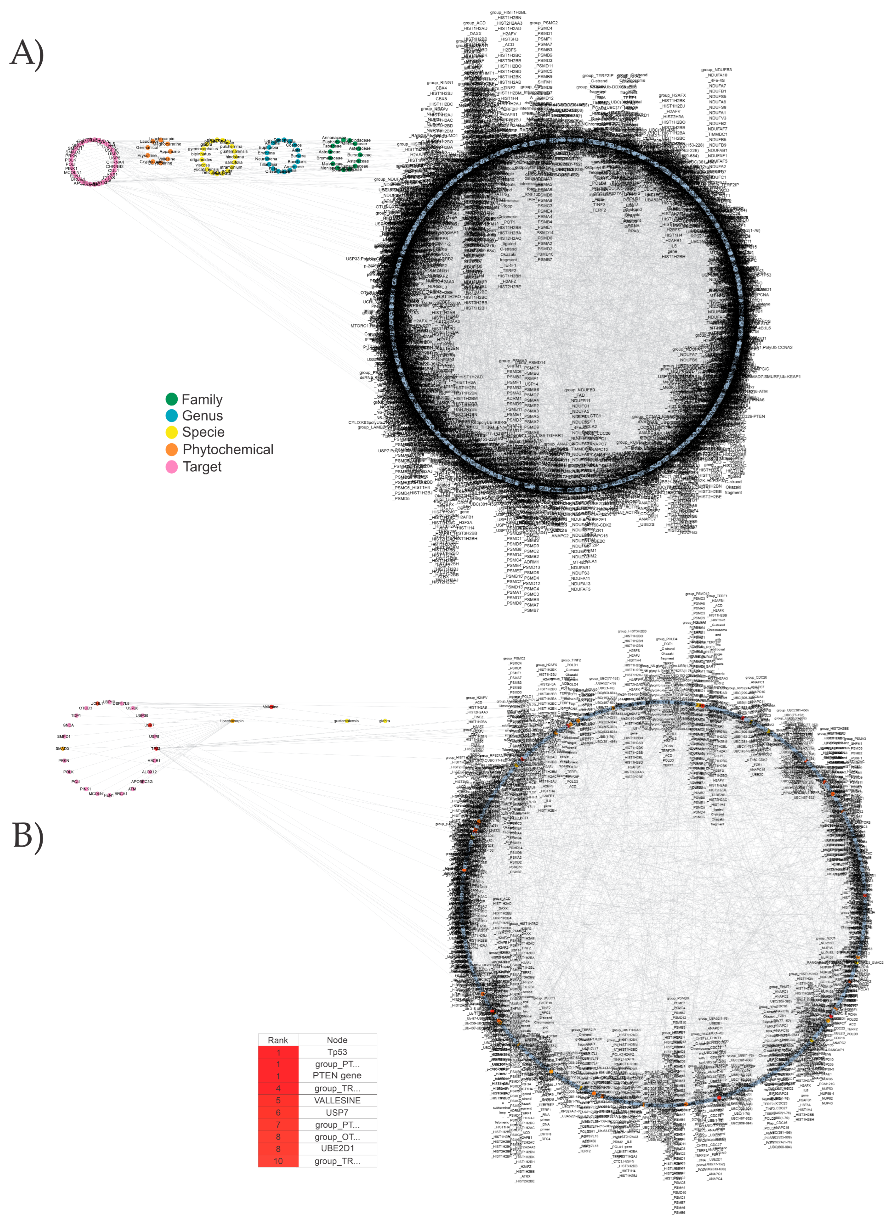 Biomolecules 13 01673 g006
