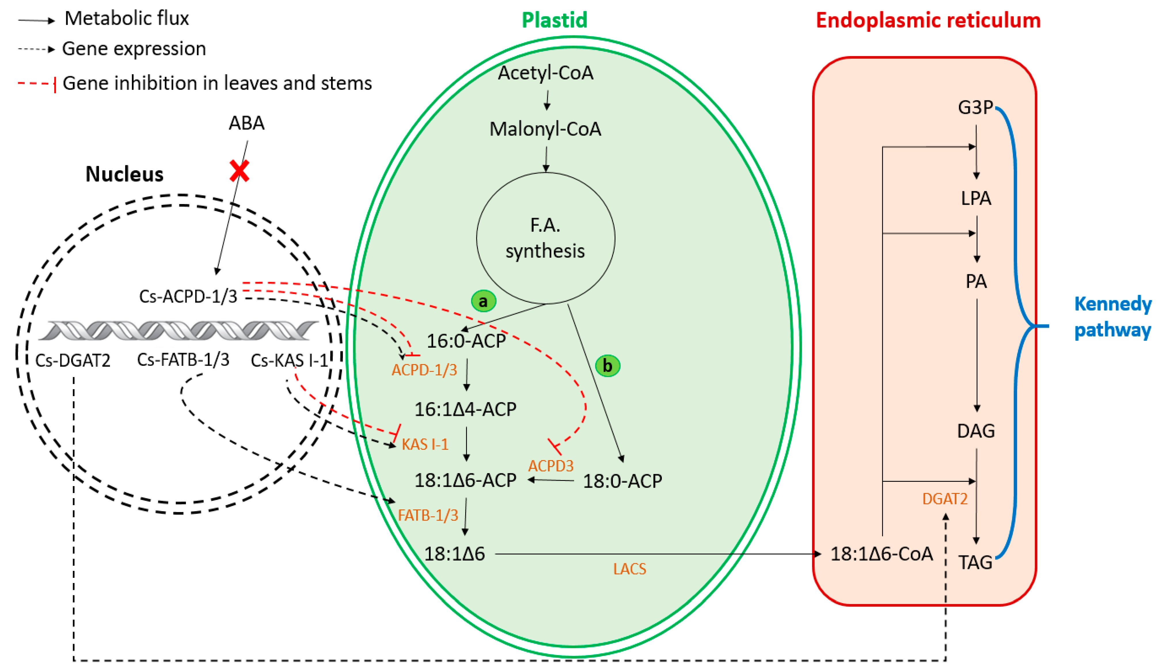 Biomolecules 13 01675 g002
