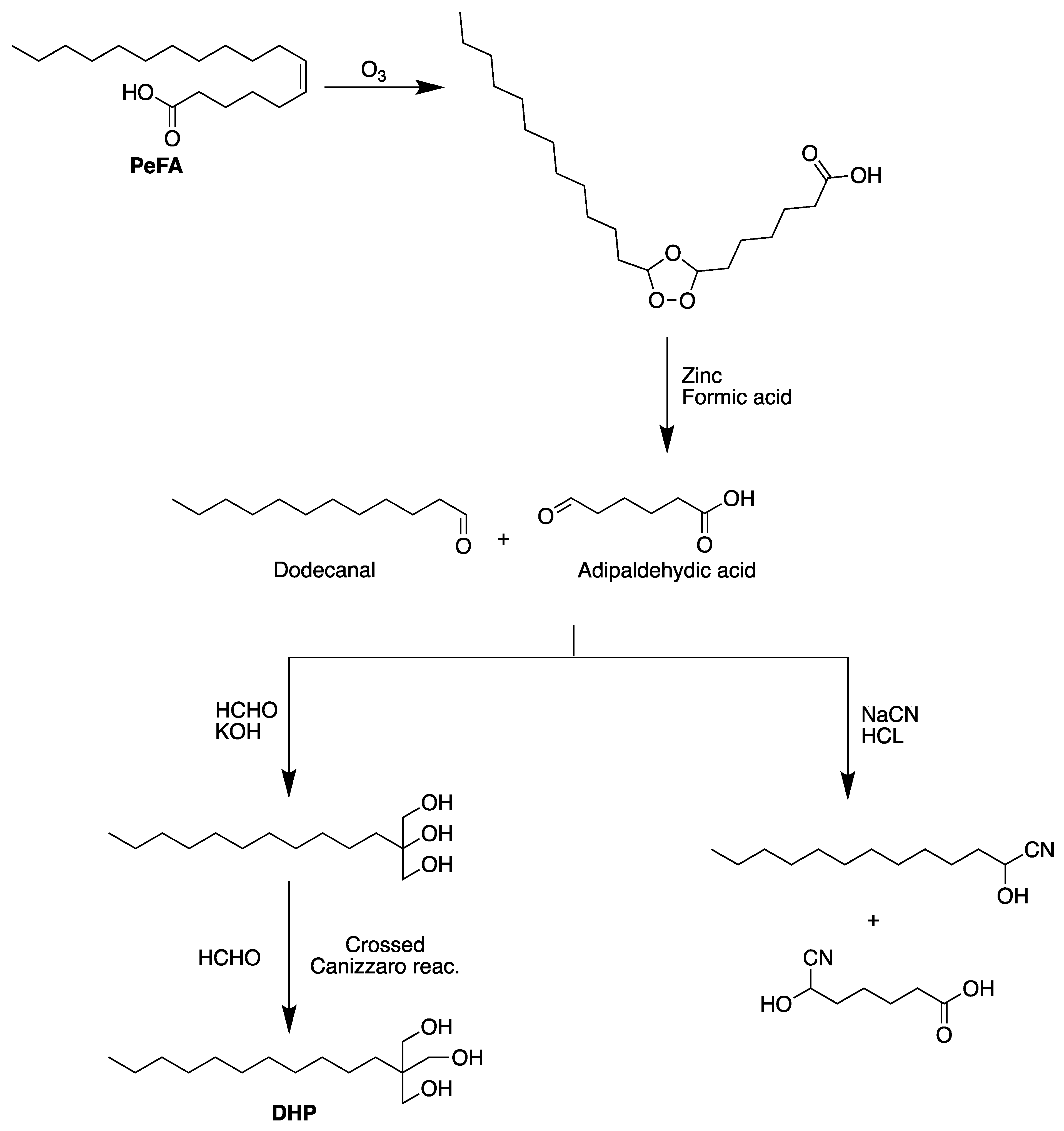 Biomolecules 13 01675 g003