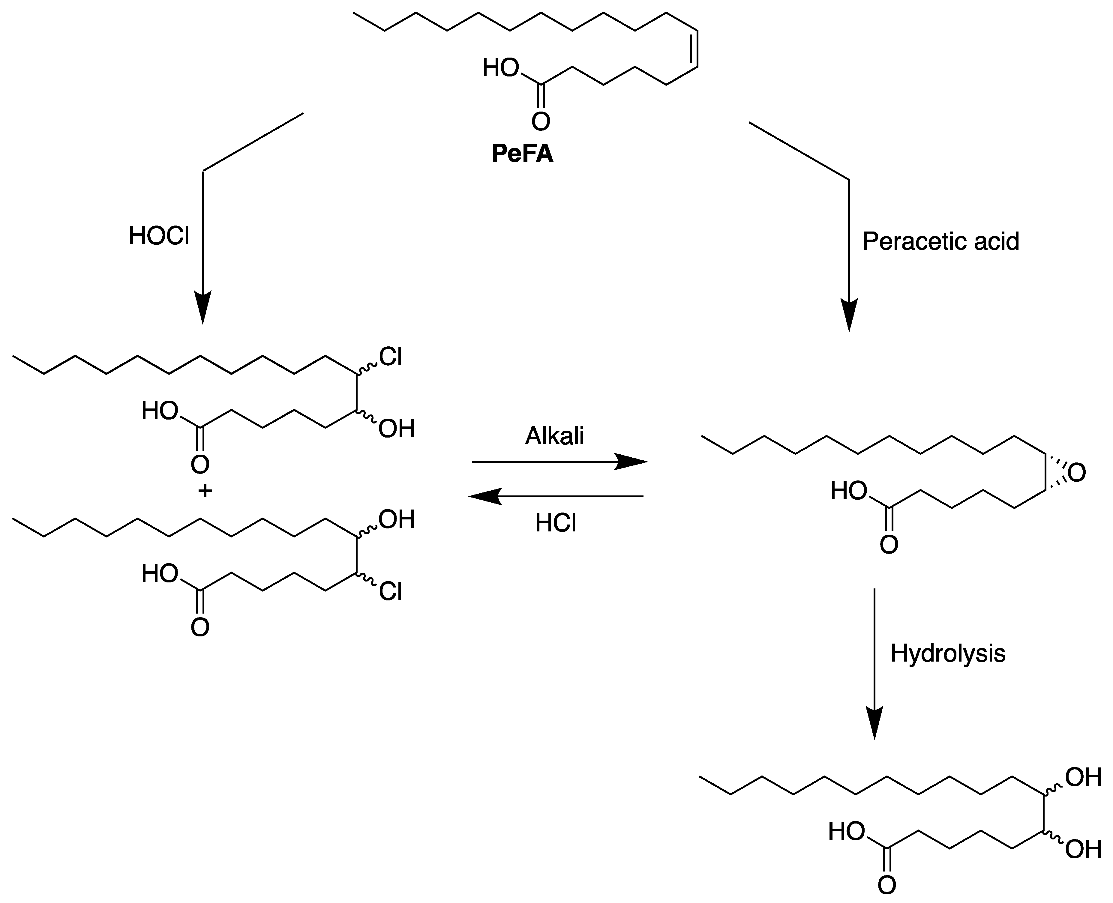 Biomolecules 13 01675 g004