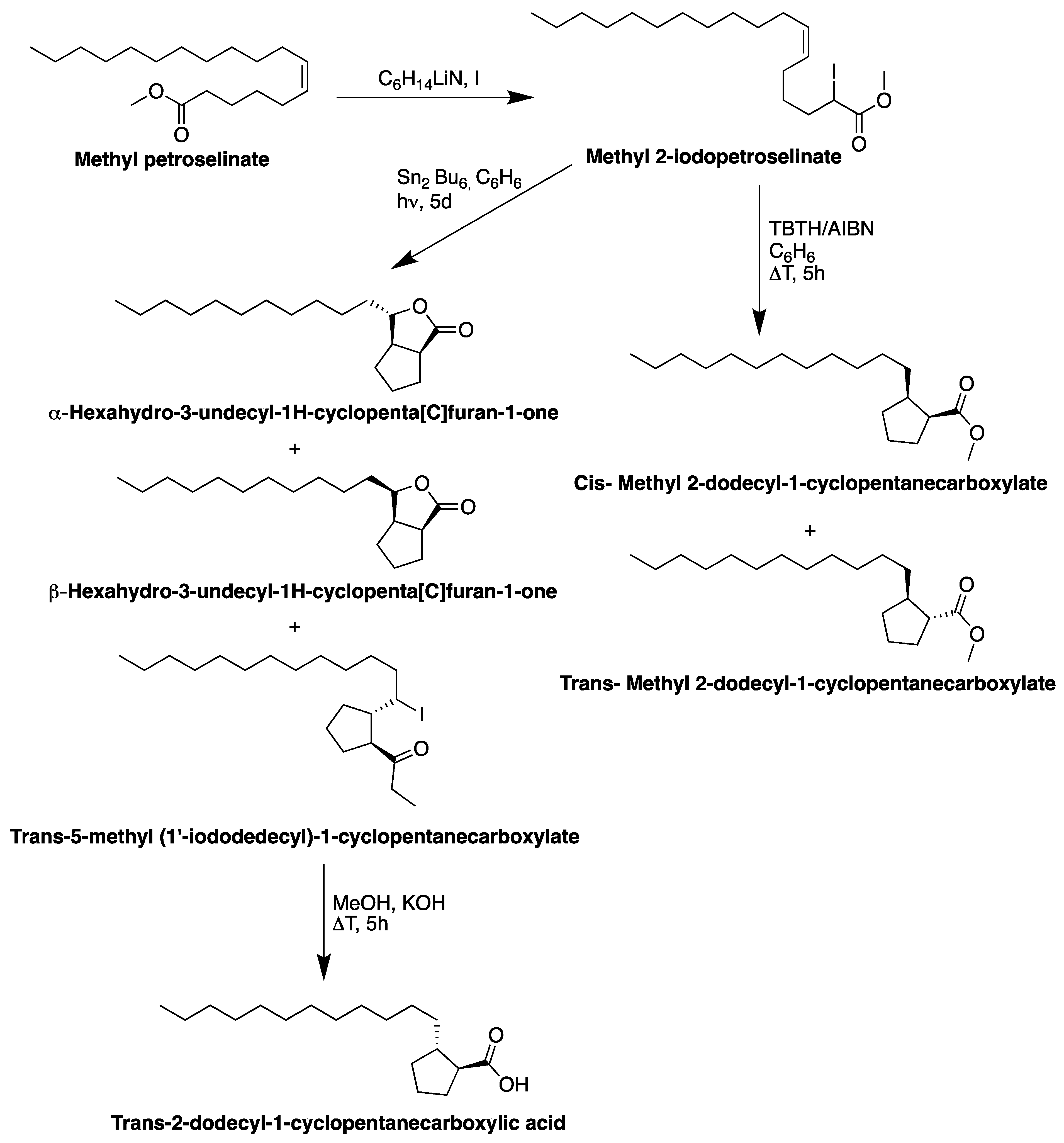 Biomolecules 13 01675 g005