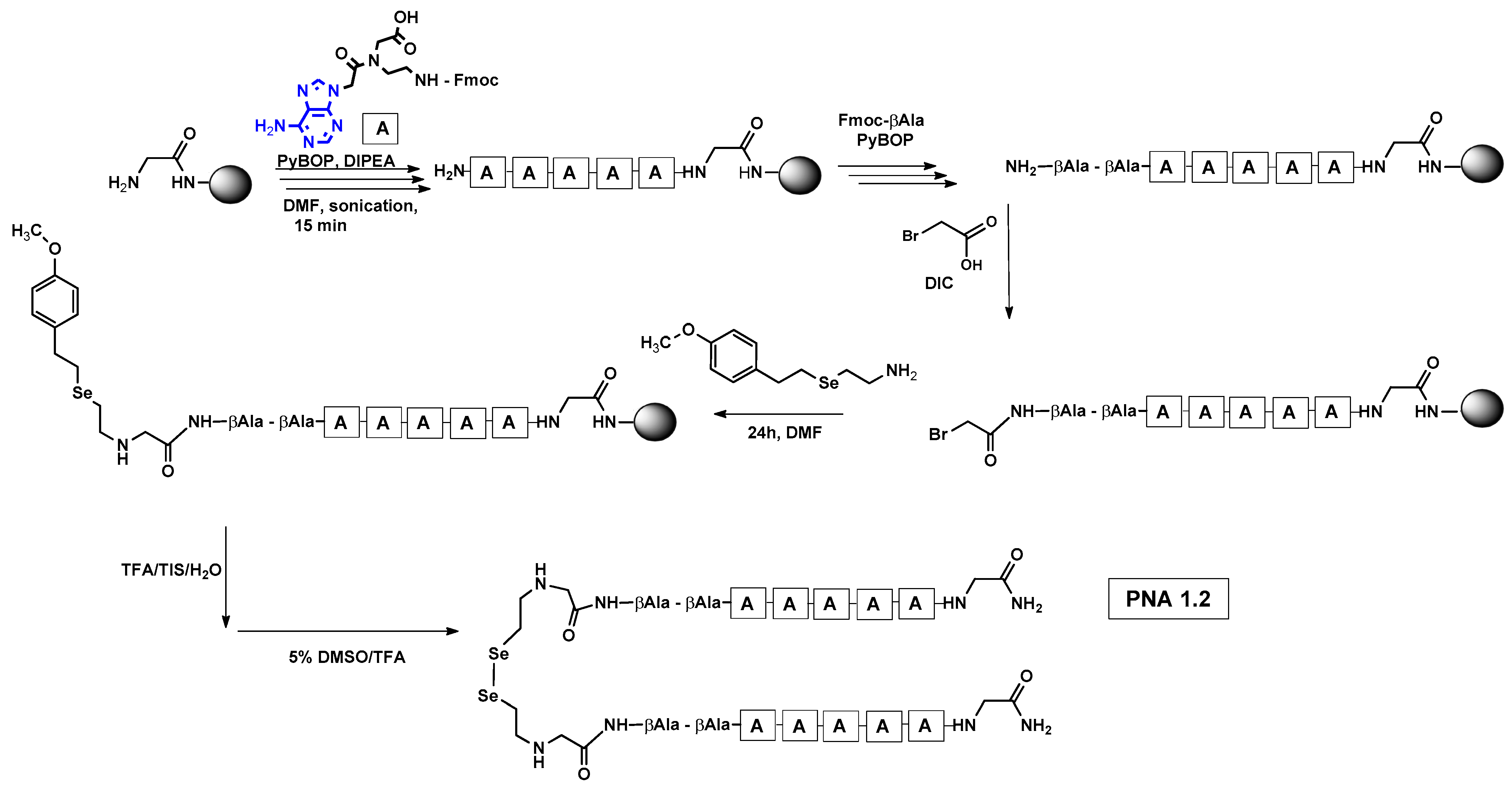 Biomolecules 13 01676 g001