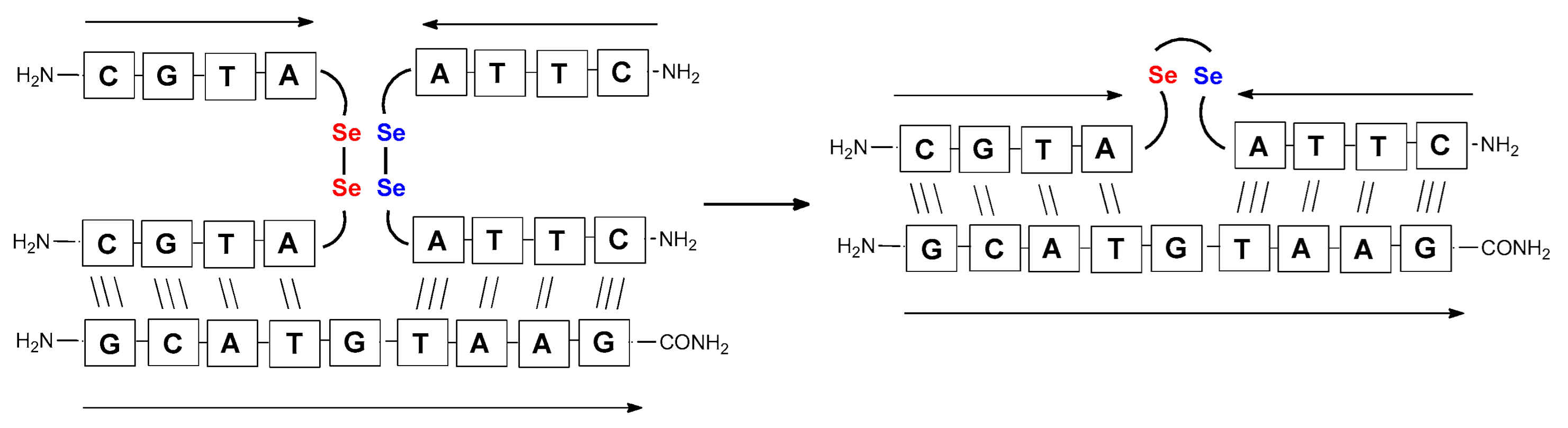 Biomolecules 13 01676 g006