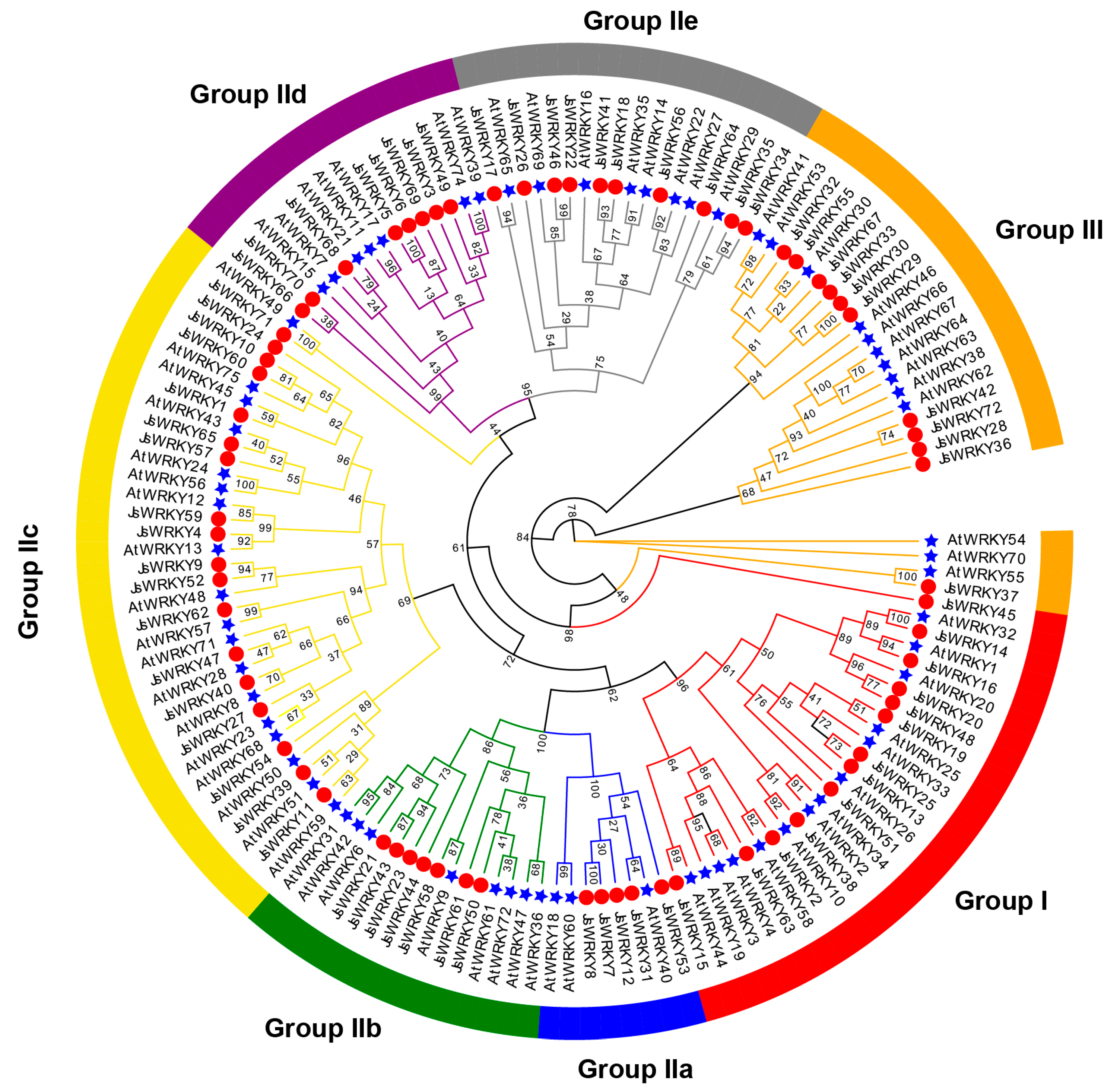 Biomolecules 13 01679 g001
