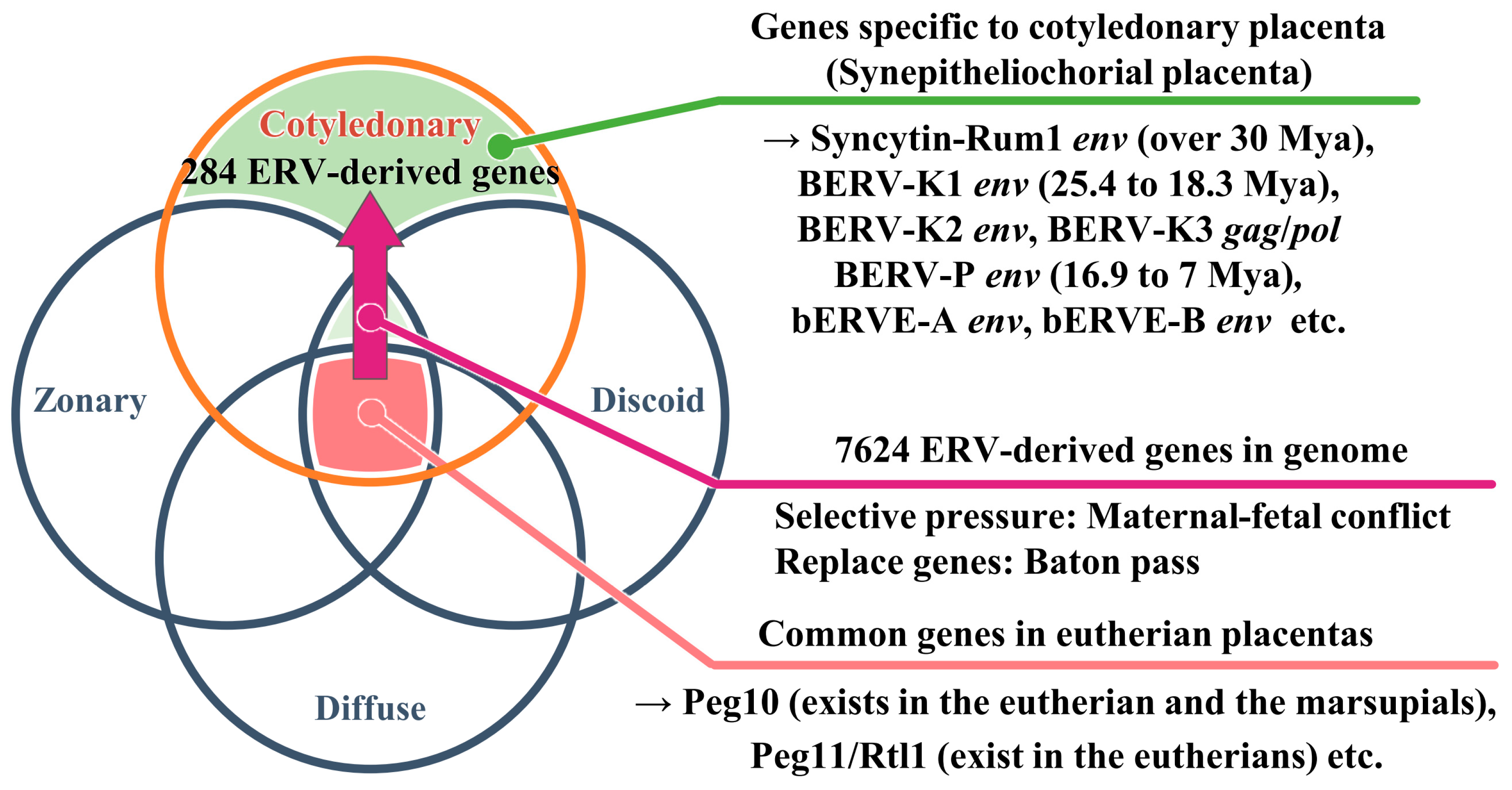 Biomolecules 13 01680 g001 Biomolecules 13 01680 g001