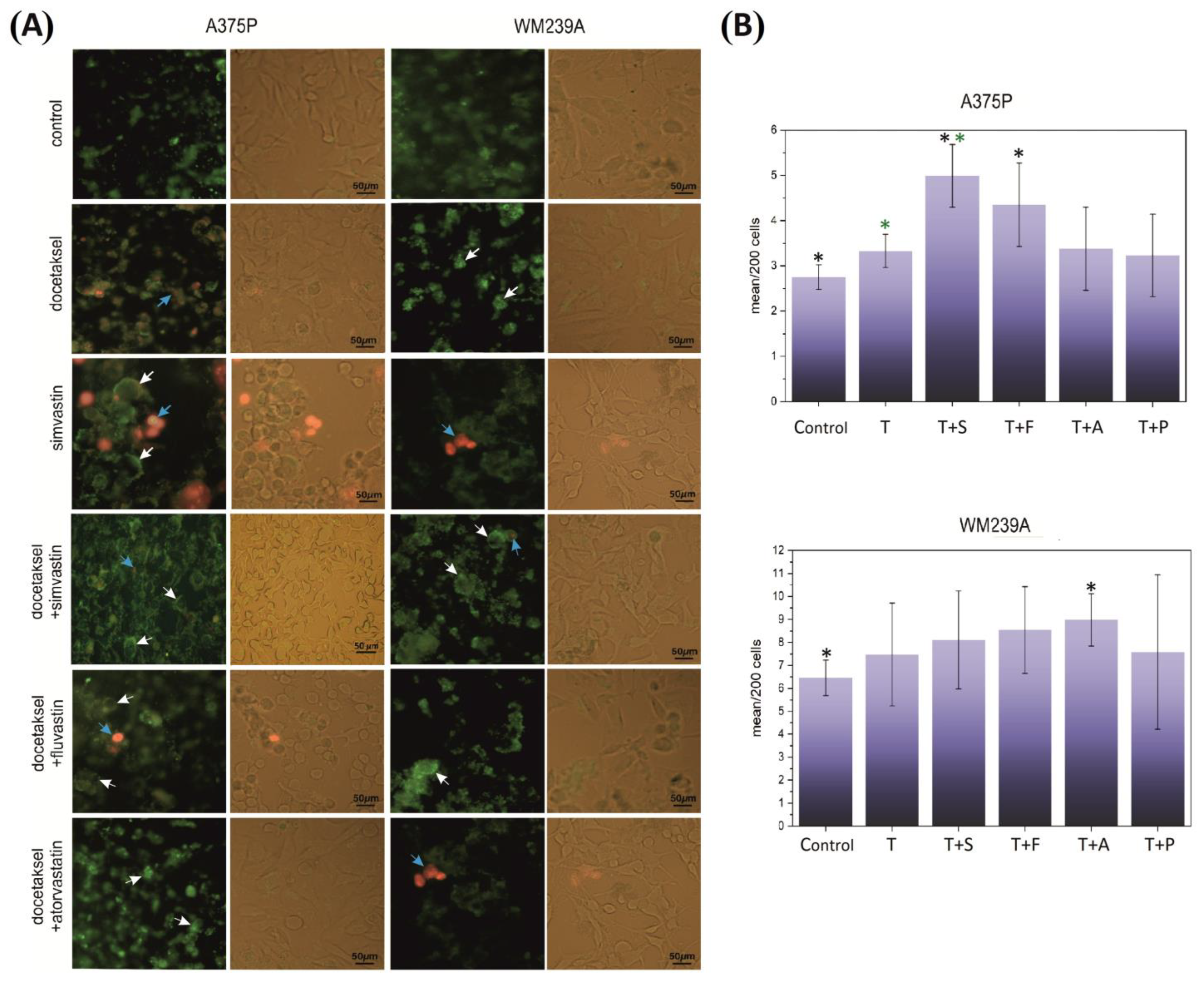 Biomolecules 13 01682 g002