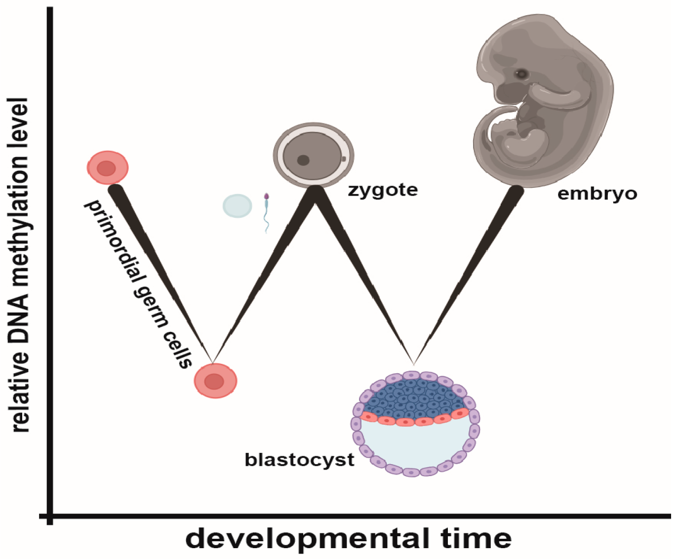 Biomolecules 13 01684 g001