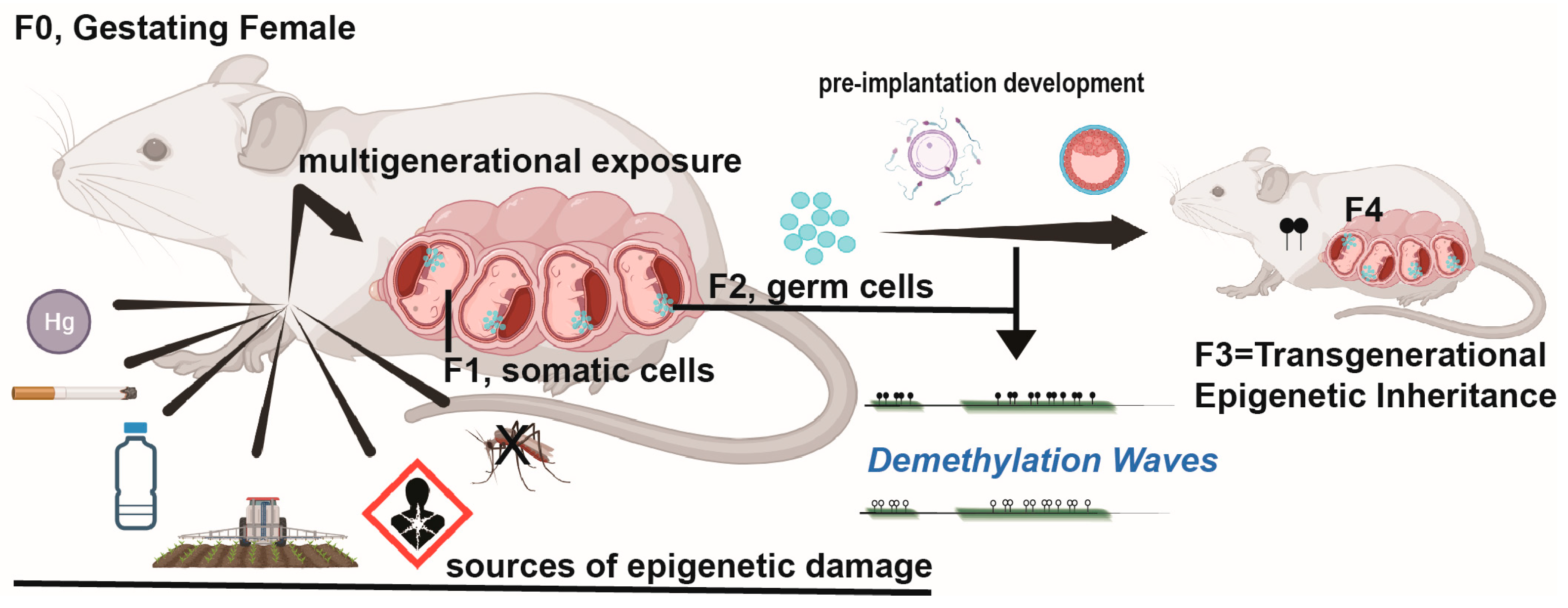 Biomolecules 13 01684 g004