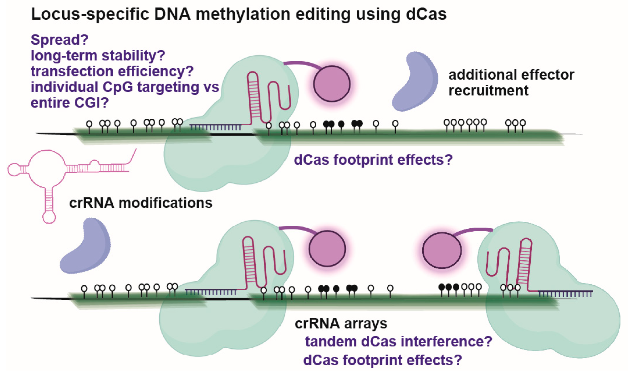Biomolecules 13 01684 g005