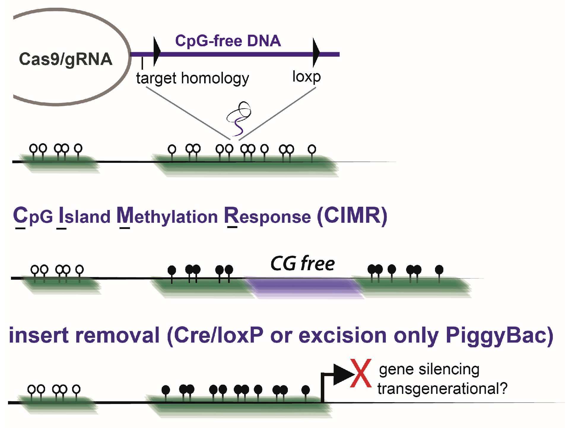 Biomolecules 13 01684 g006