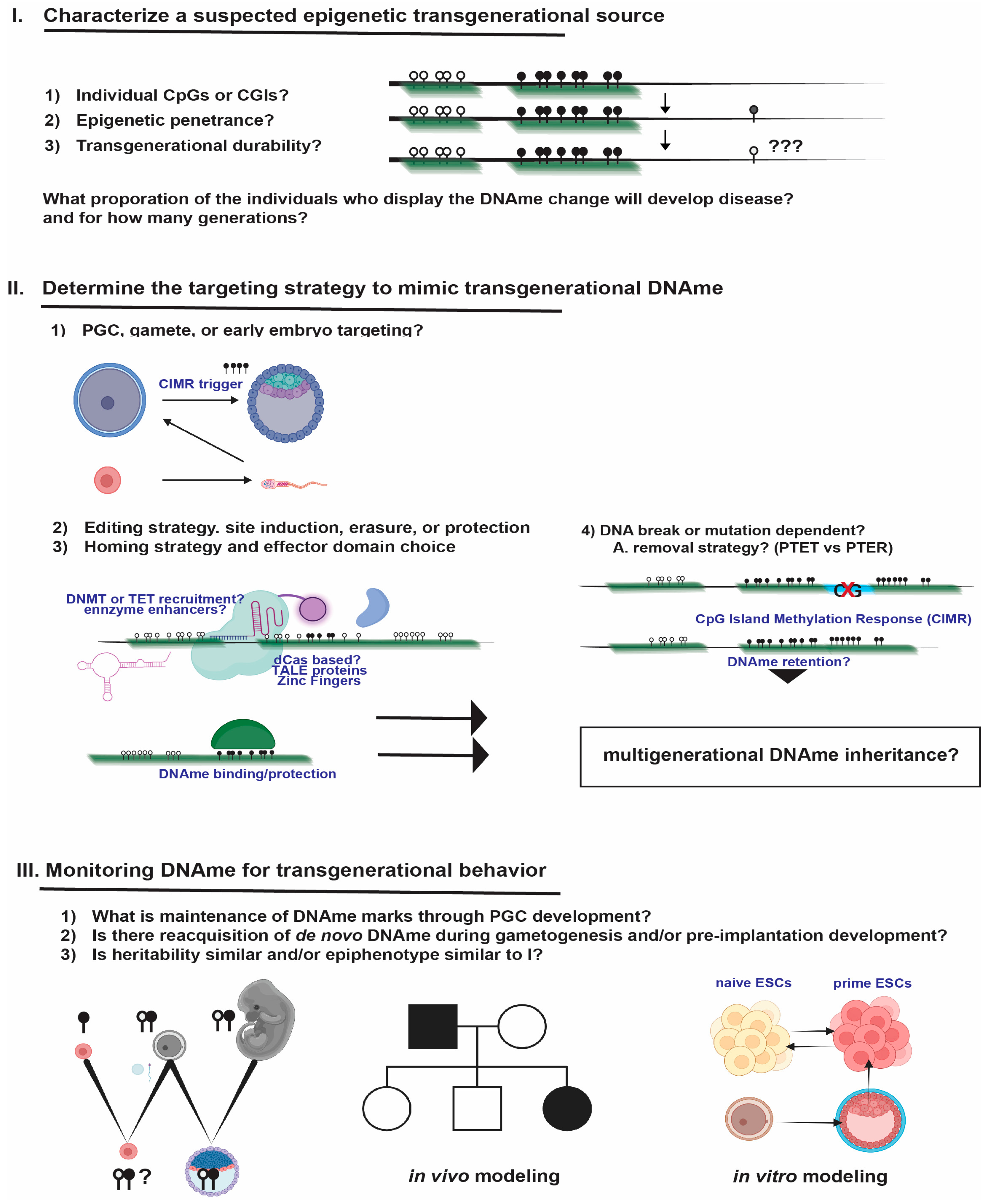 Biomolecules 13 01684 g007