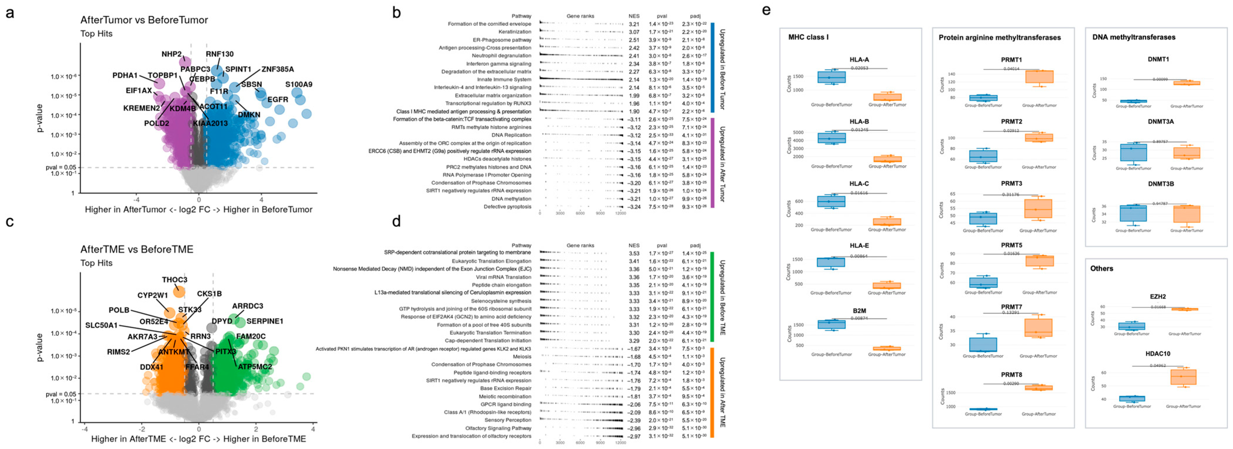 Biomolecules 13 01685 g003