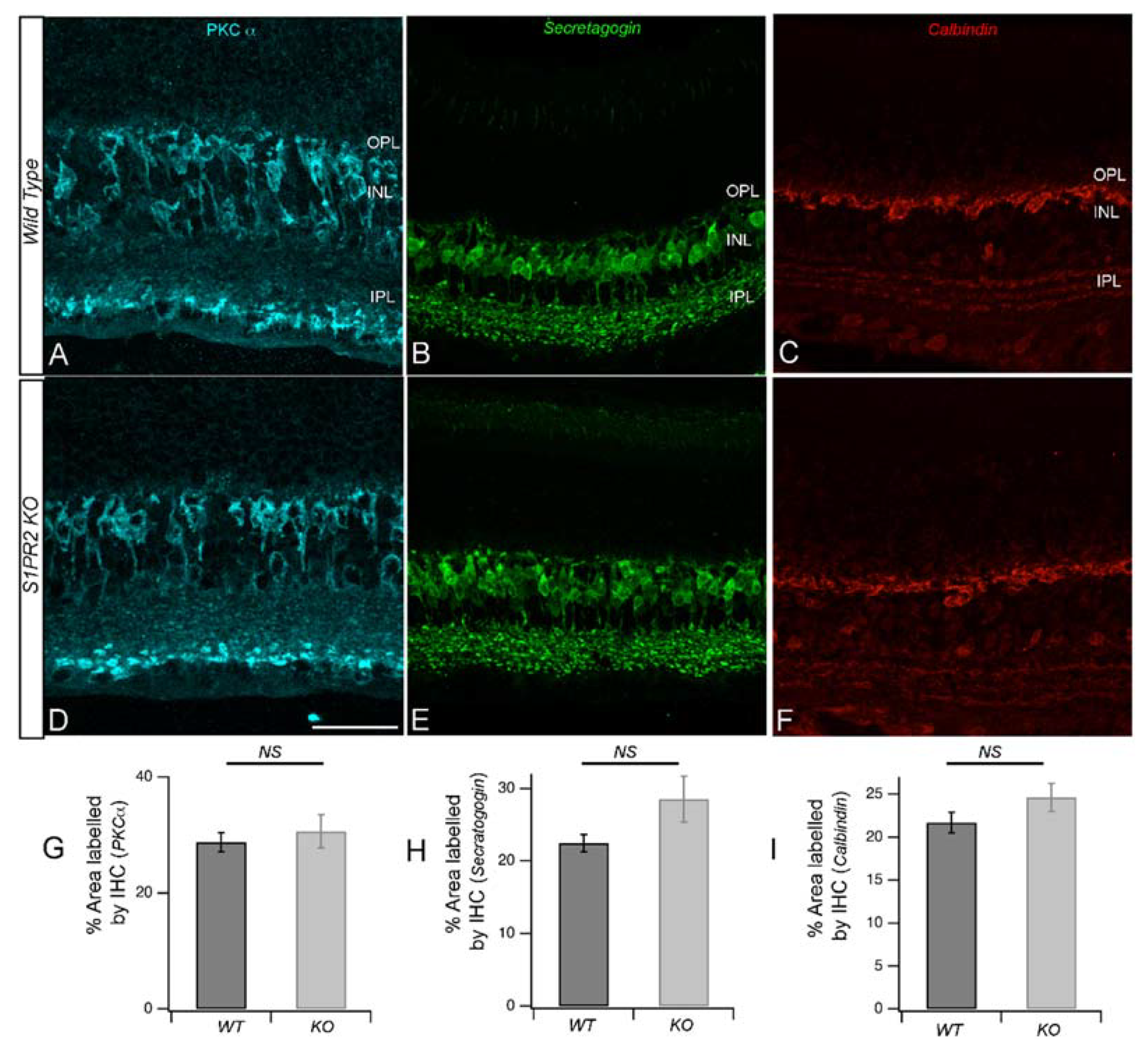 Biomolecules 13 01691 g004