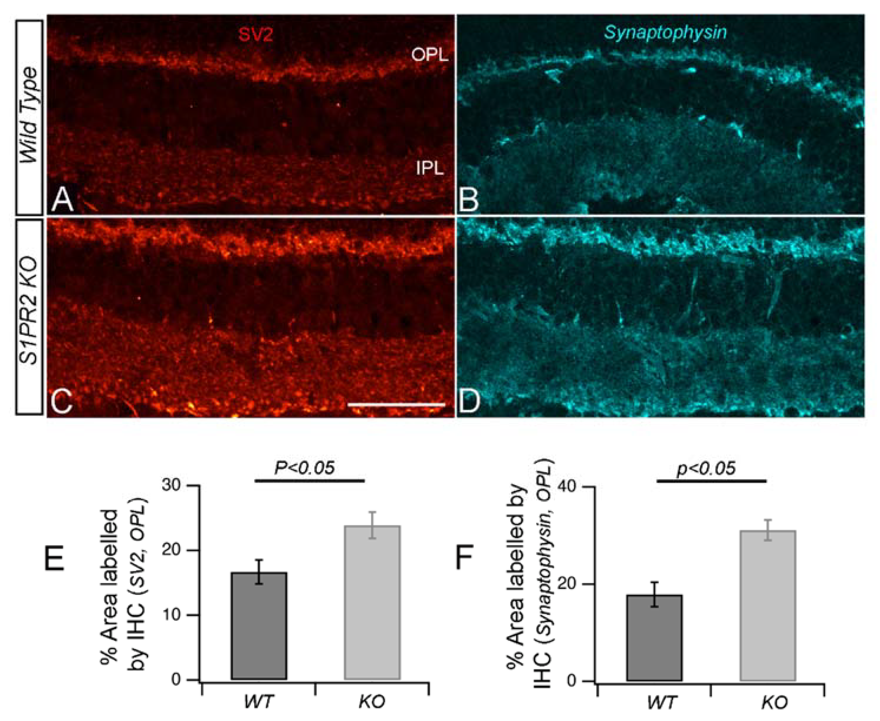 Biomolecules 13 01691 g006