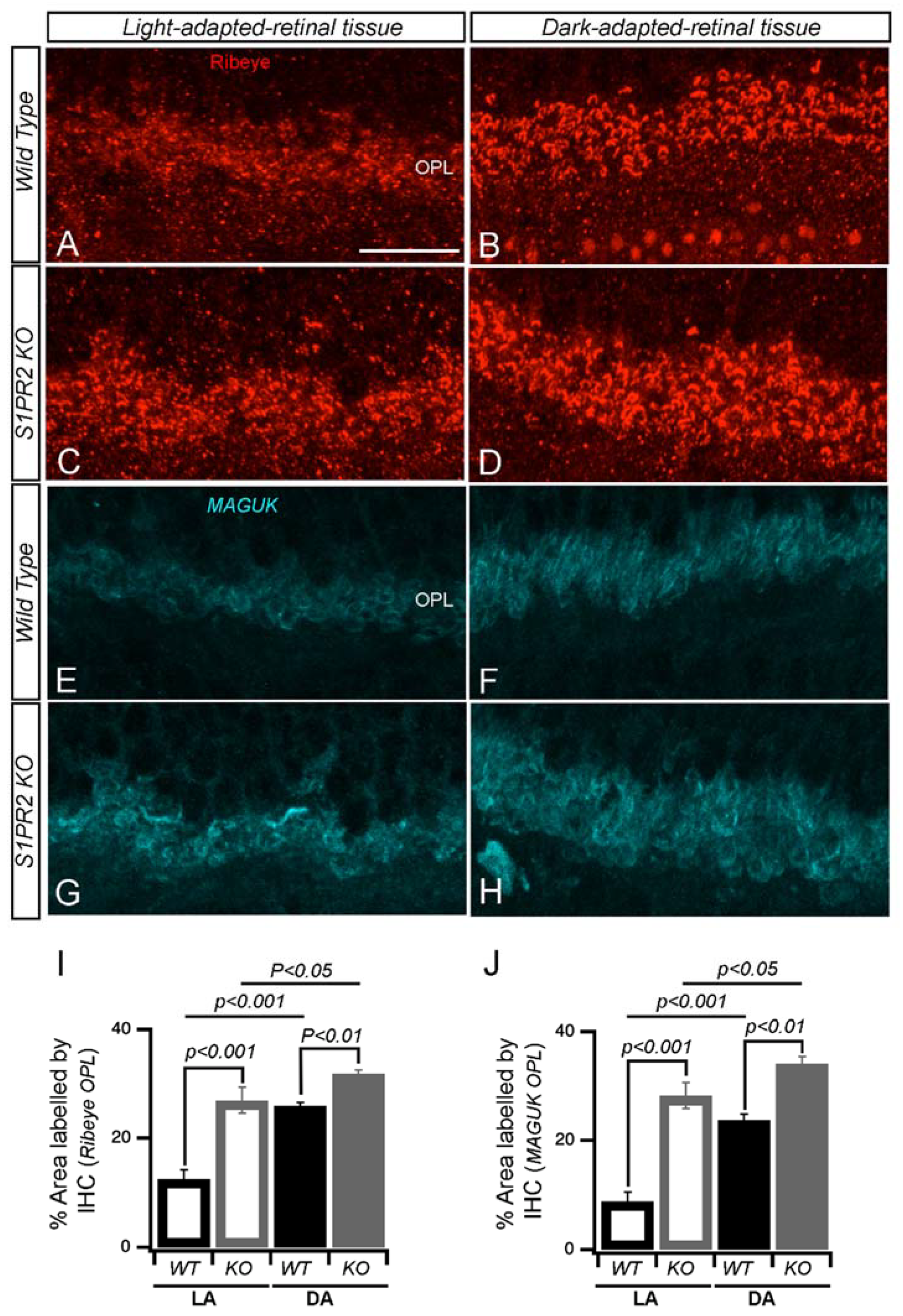 Biomolecules 13 01691 g008