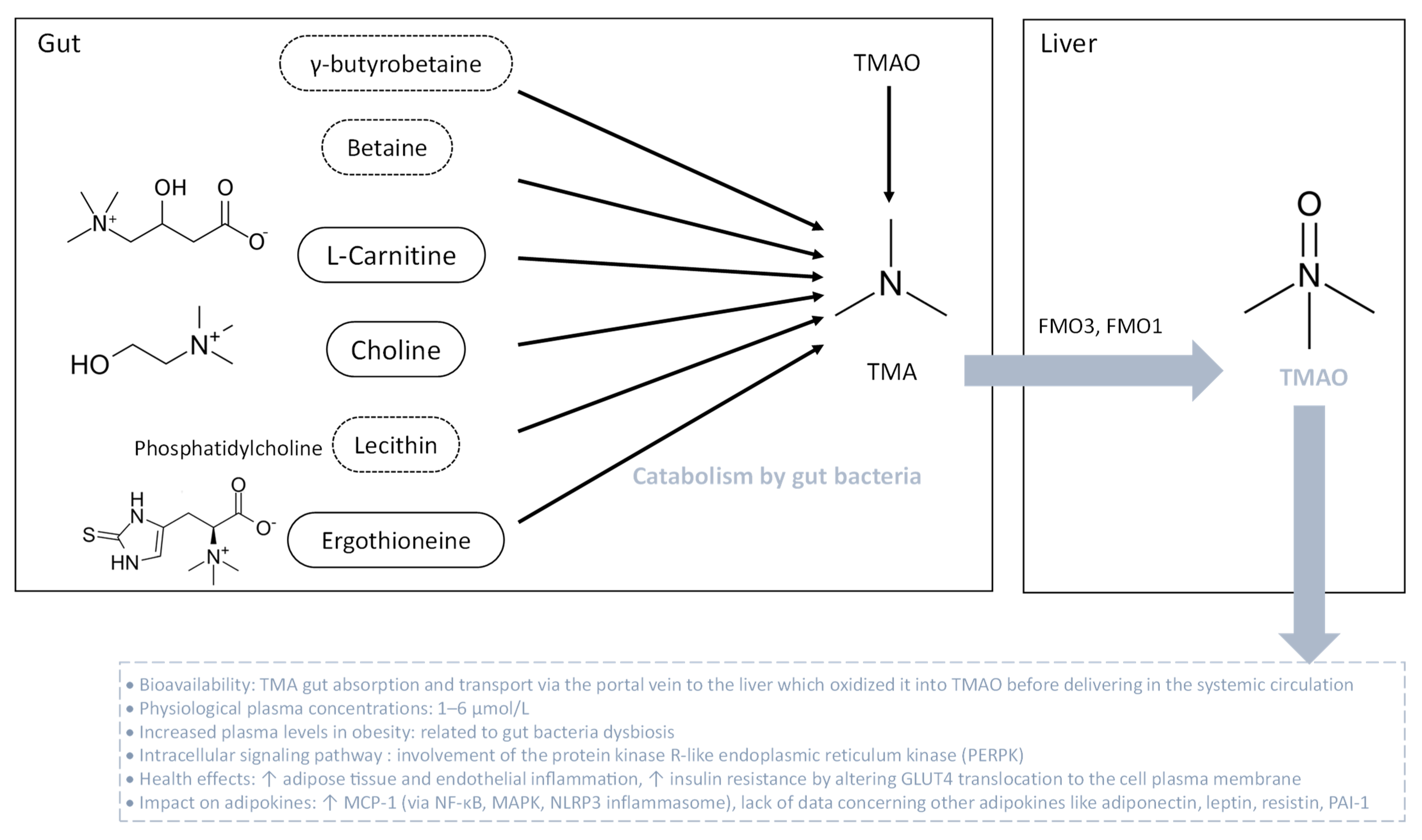 Biomolecules 13 01692 g005