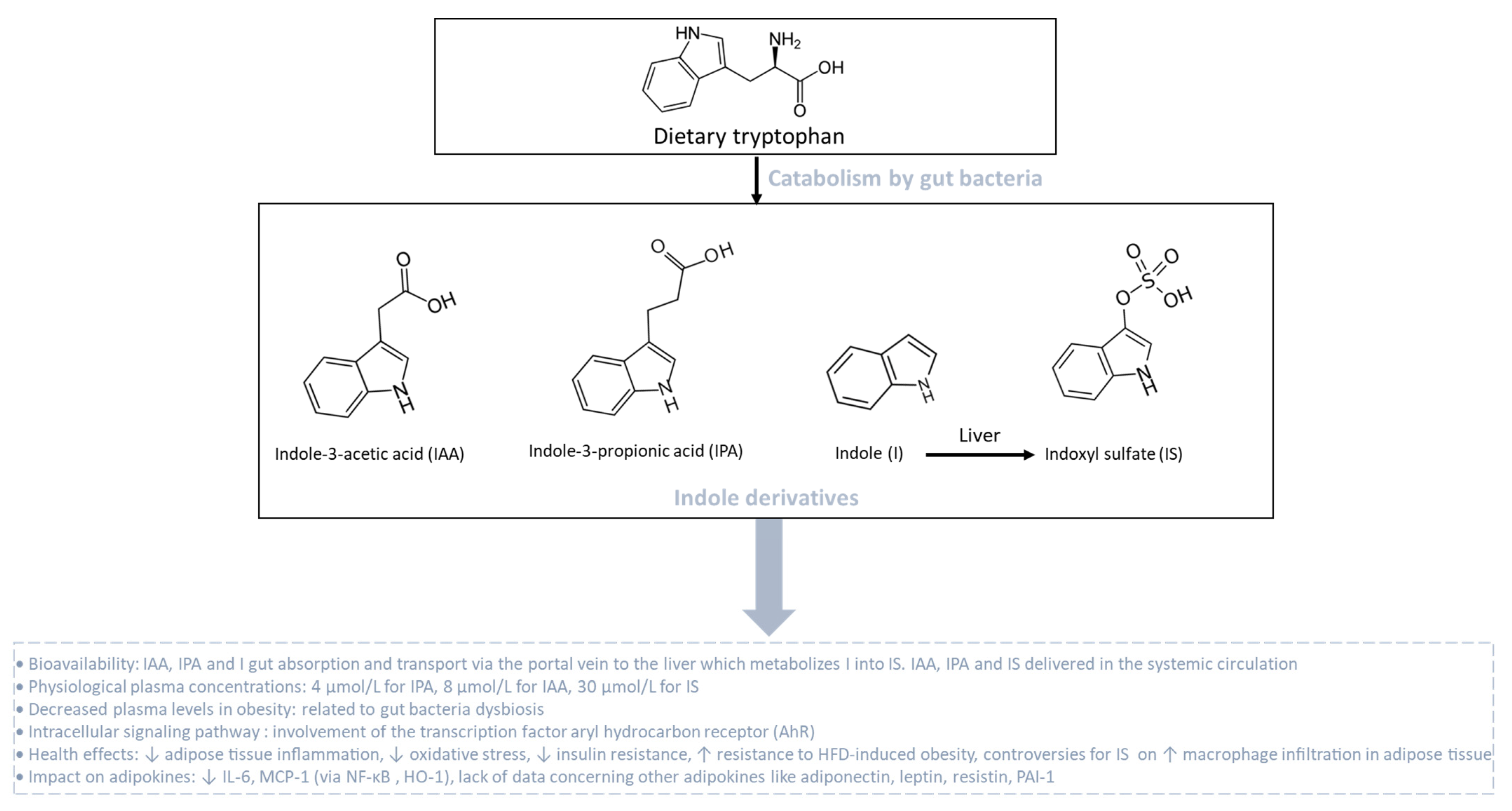 Biomolecules 13 01692 g006