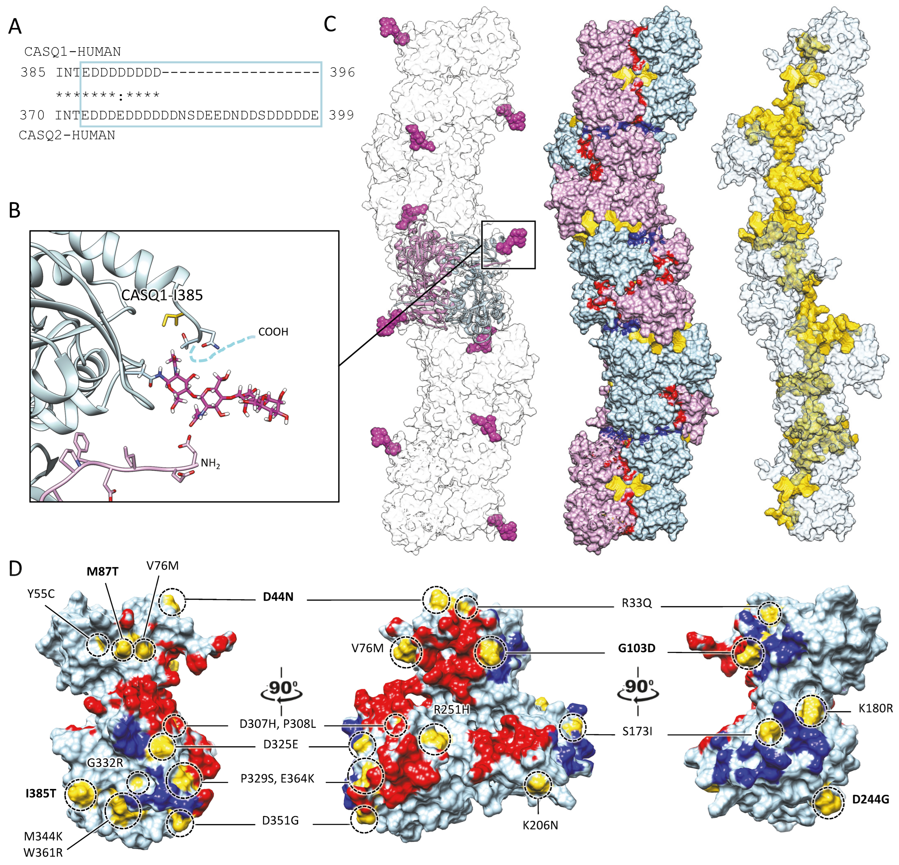 Biomolecules 13 01693 g004