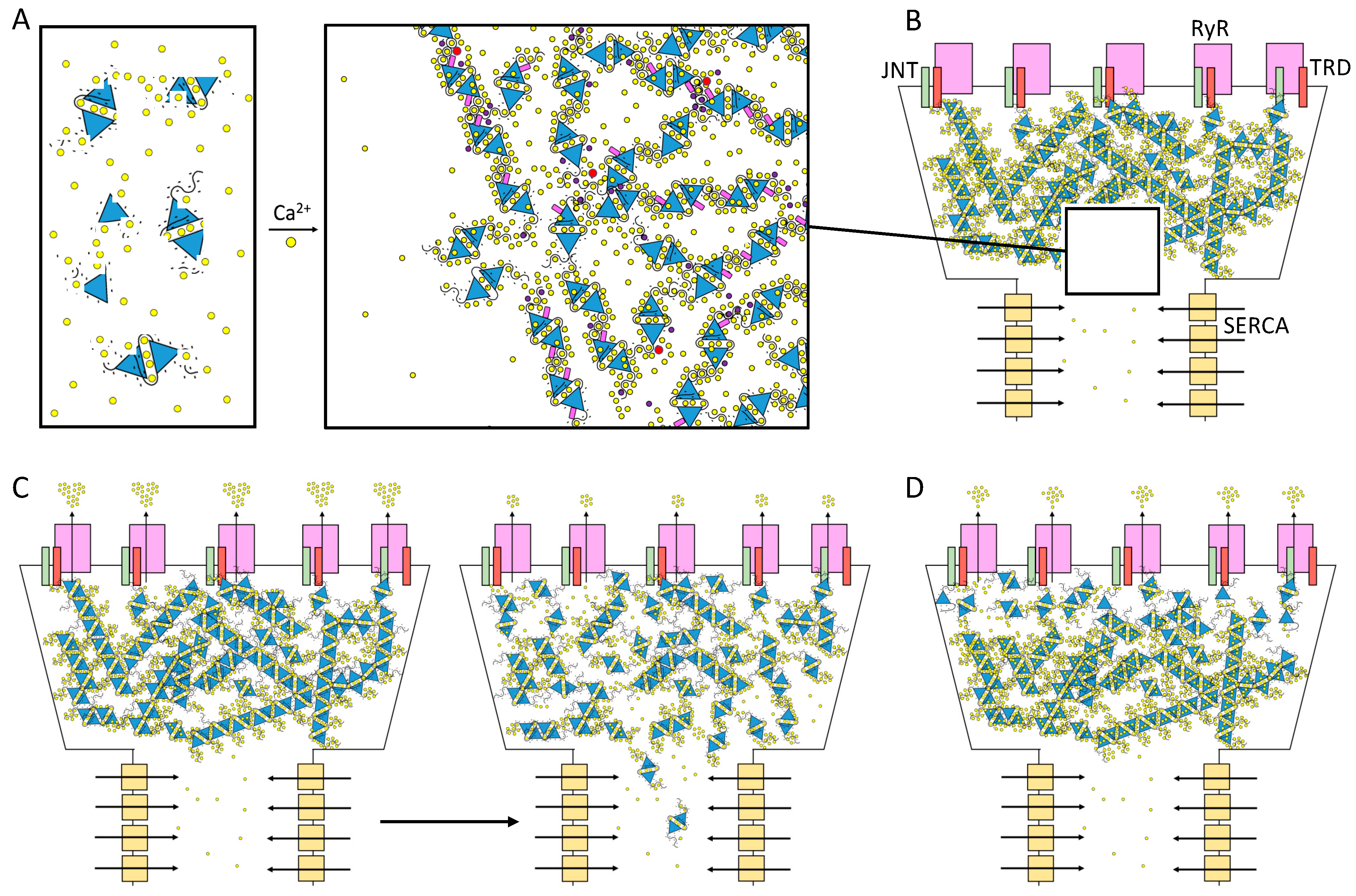 Biomolecules 13 01693 g005