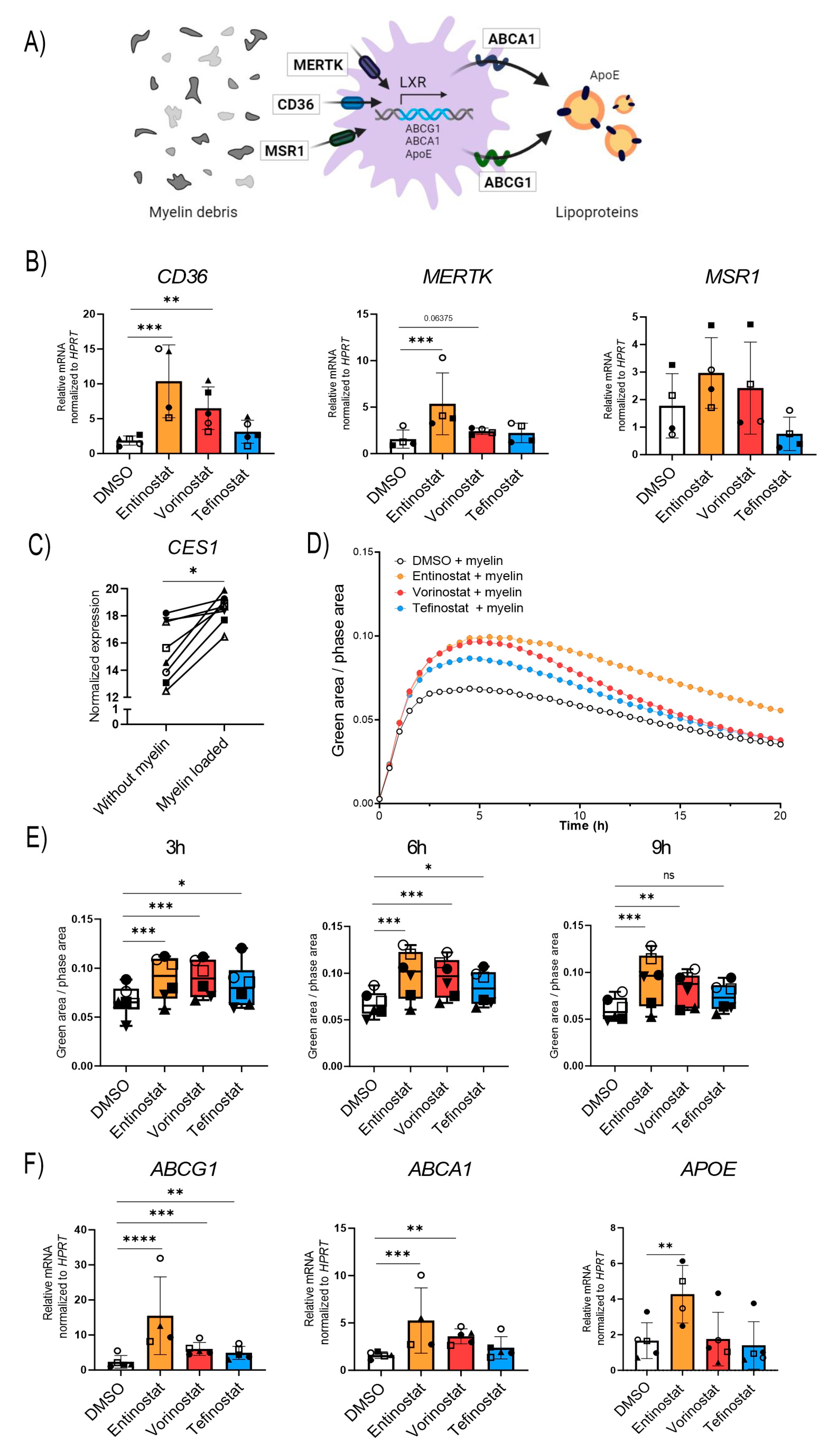 Biomolecules 13 01696 g005