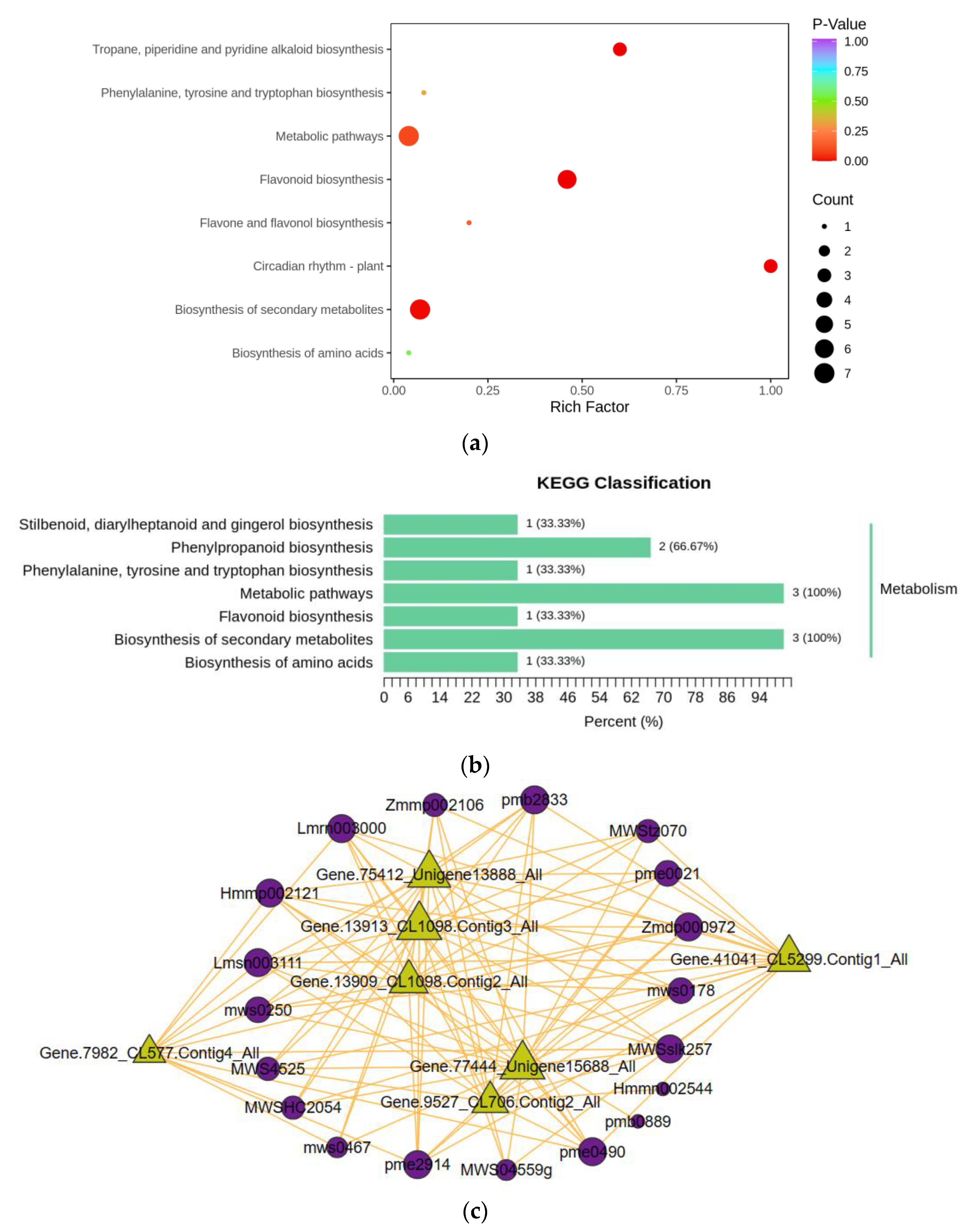 Biomolecules 13 01700 g007