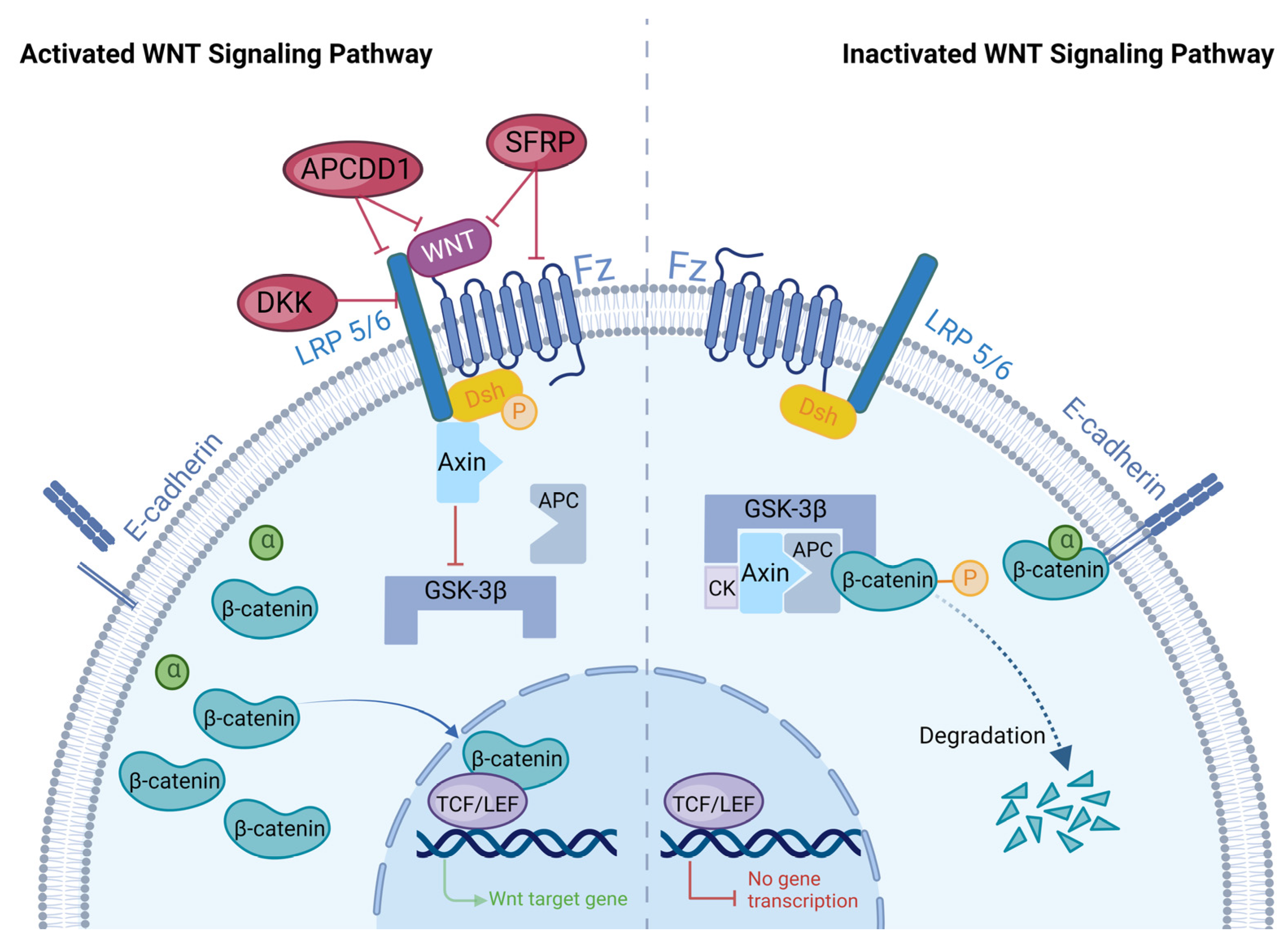 Biomolecules 13 01702 g001
