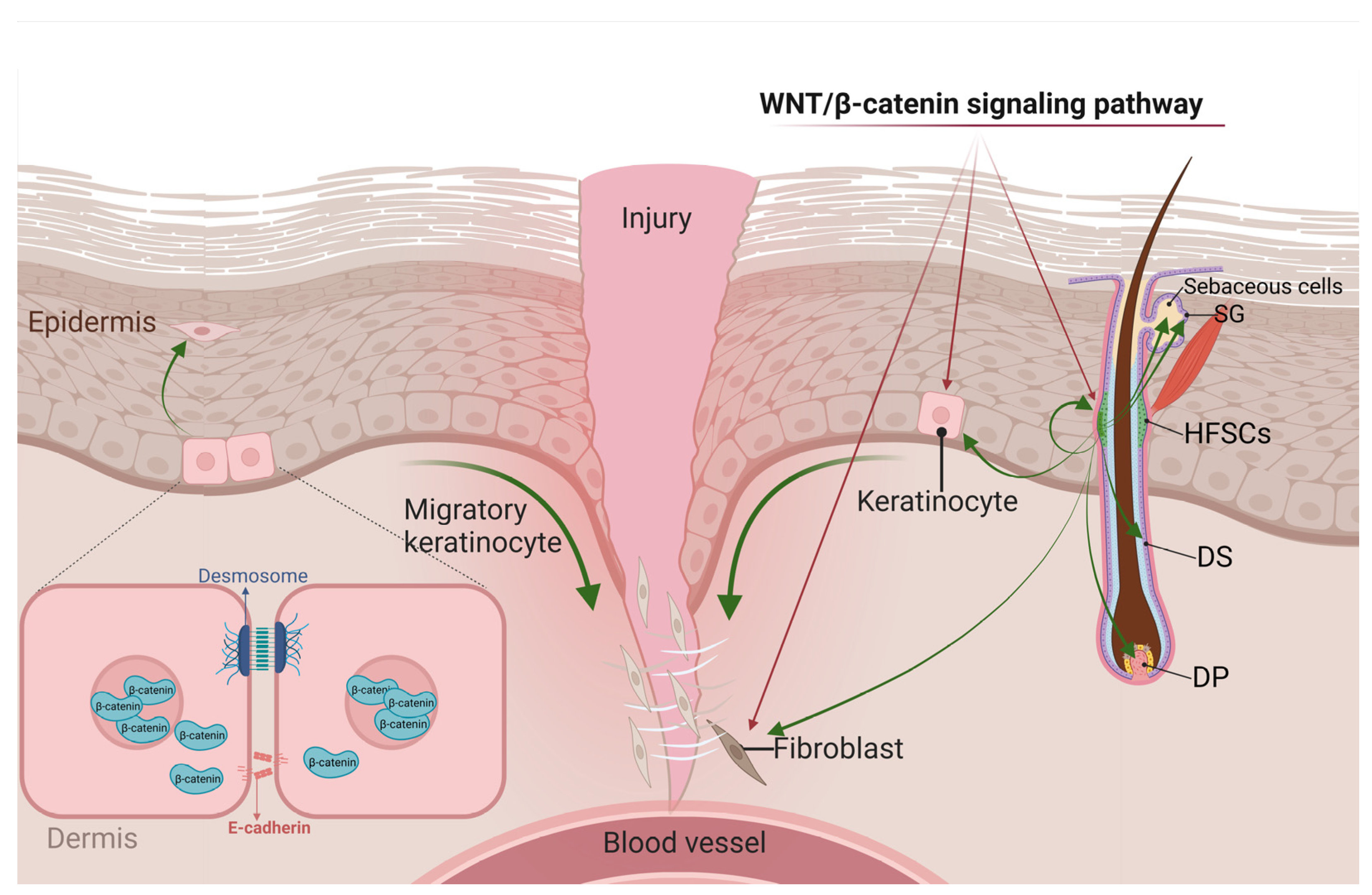 Biomolecules 13 01702 g002