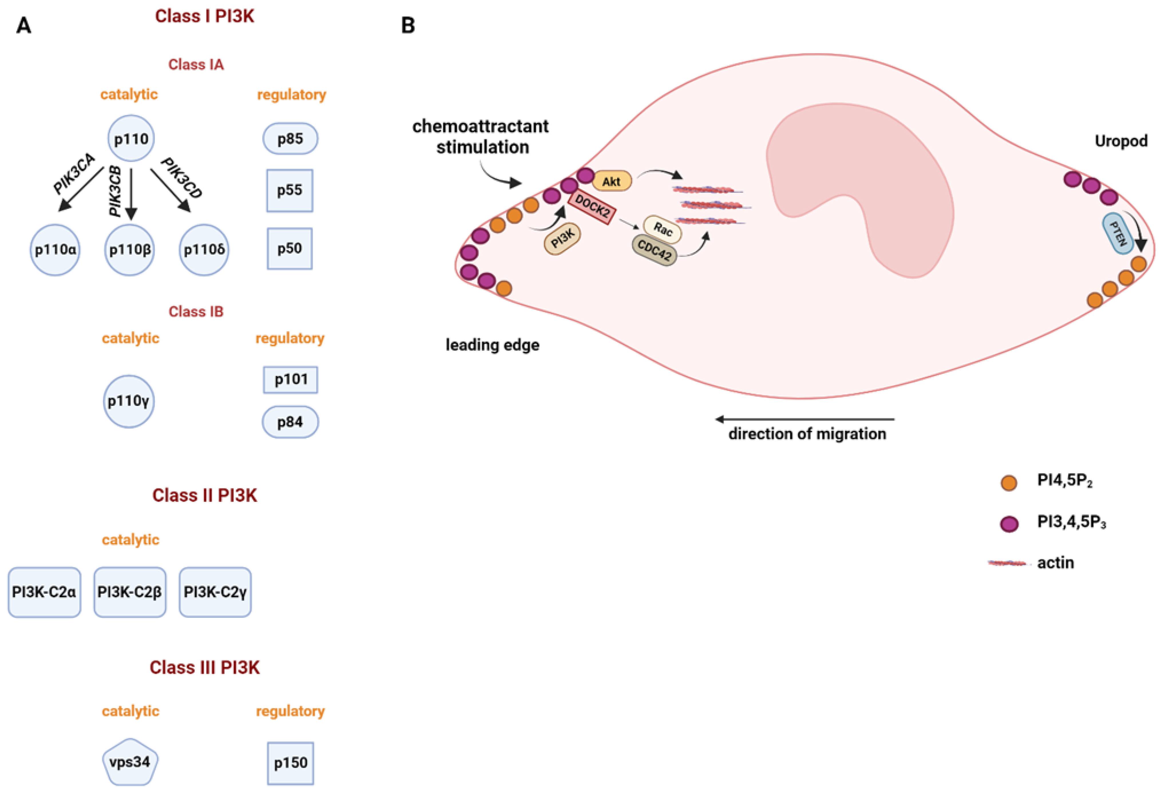 Biomolecules 13 01705 g002