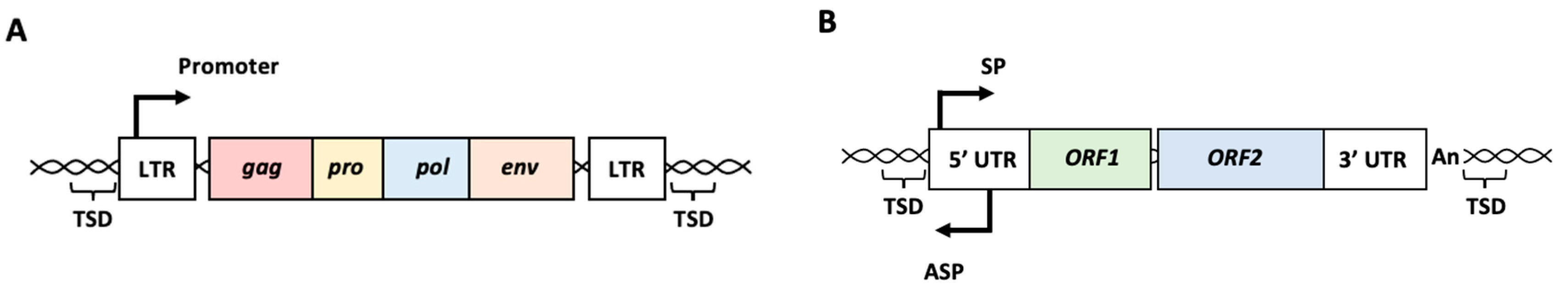 Biomolecules 13 01706 g001