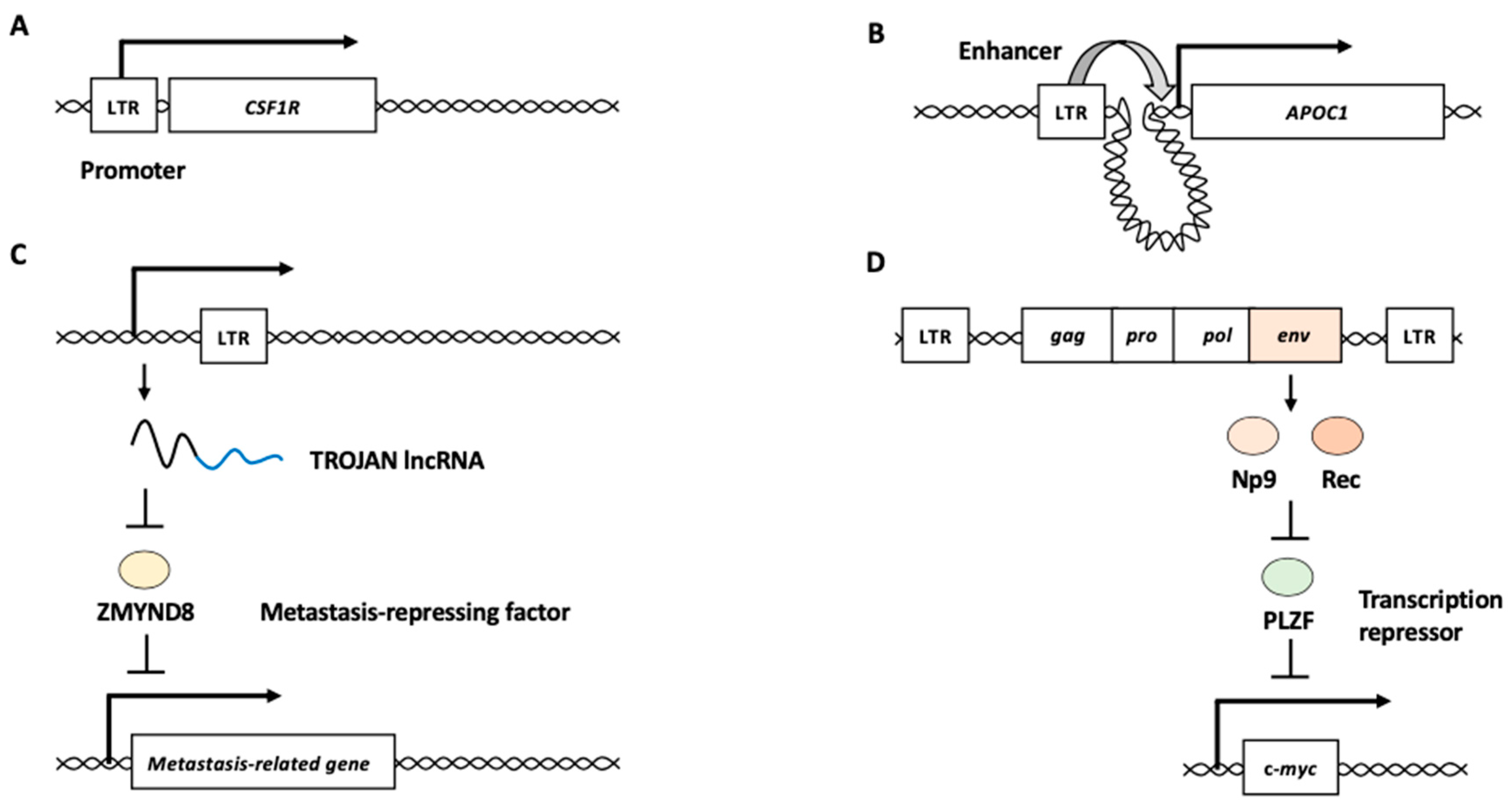 Biomolecules 13 01706 g002