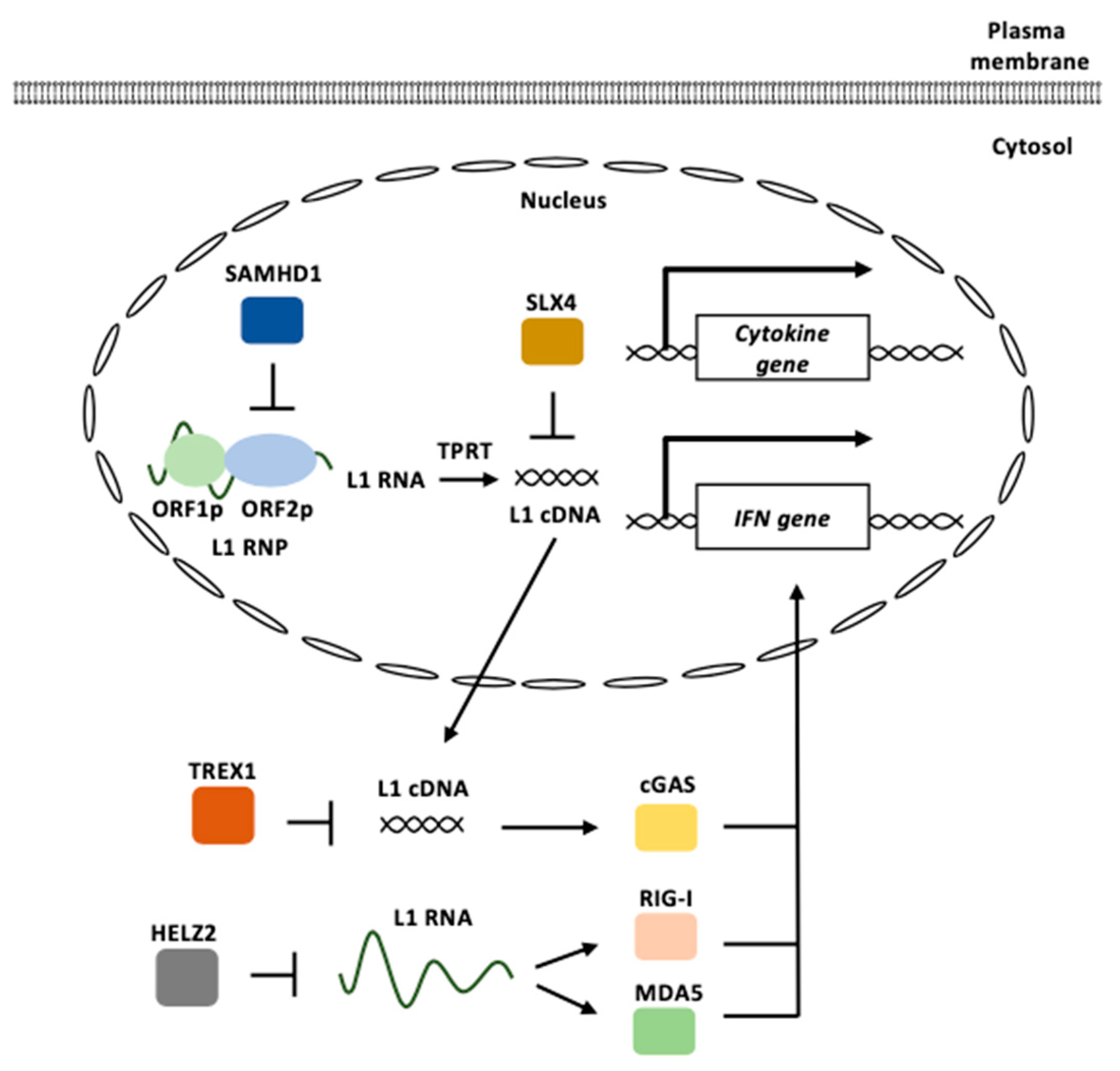 Biomolecules 13 01706 g005