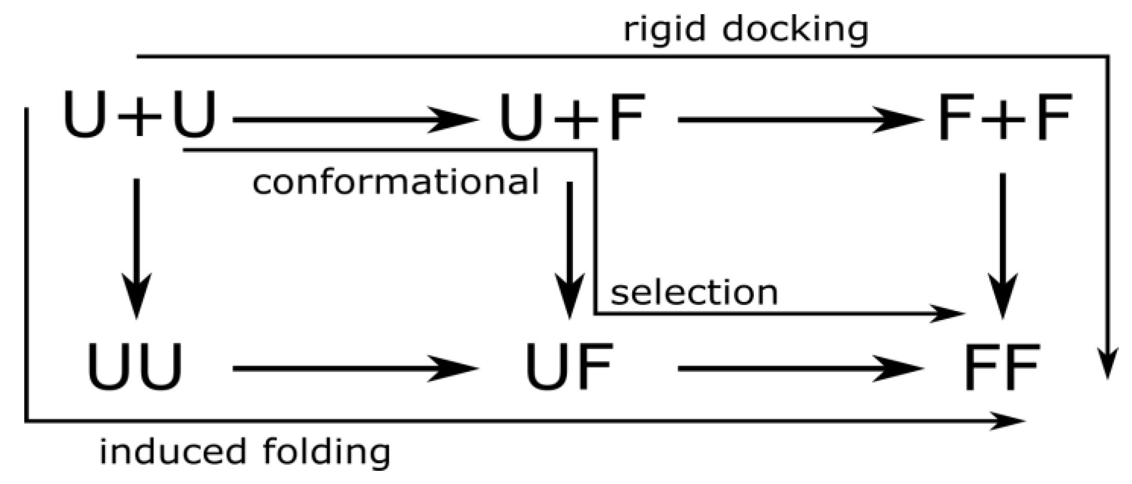 Biomolecules 13 01708 g002