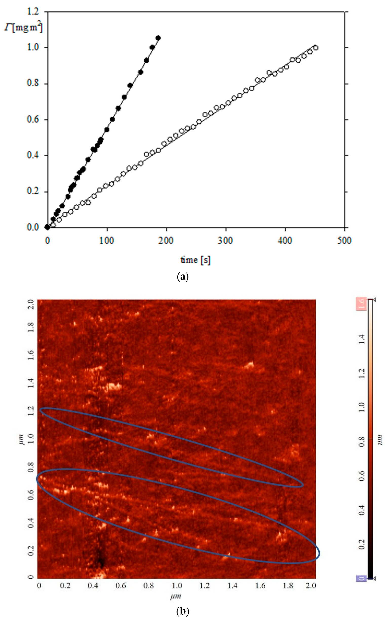 Biomolecules 13 01709 g009 Biomolecules 13 01709 g009
