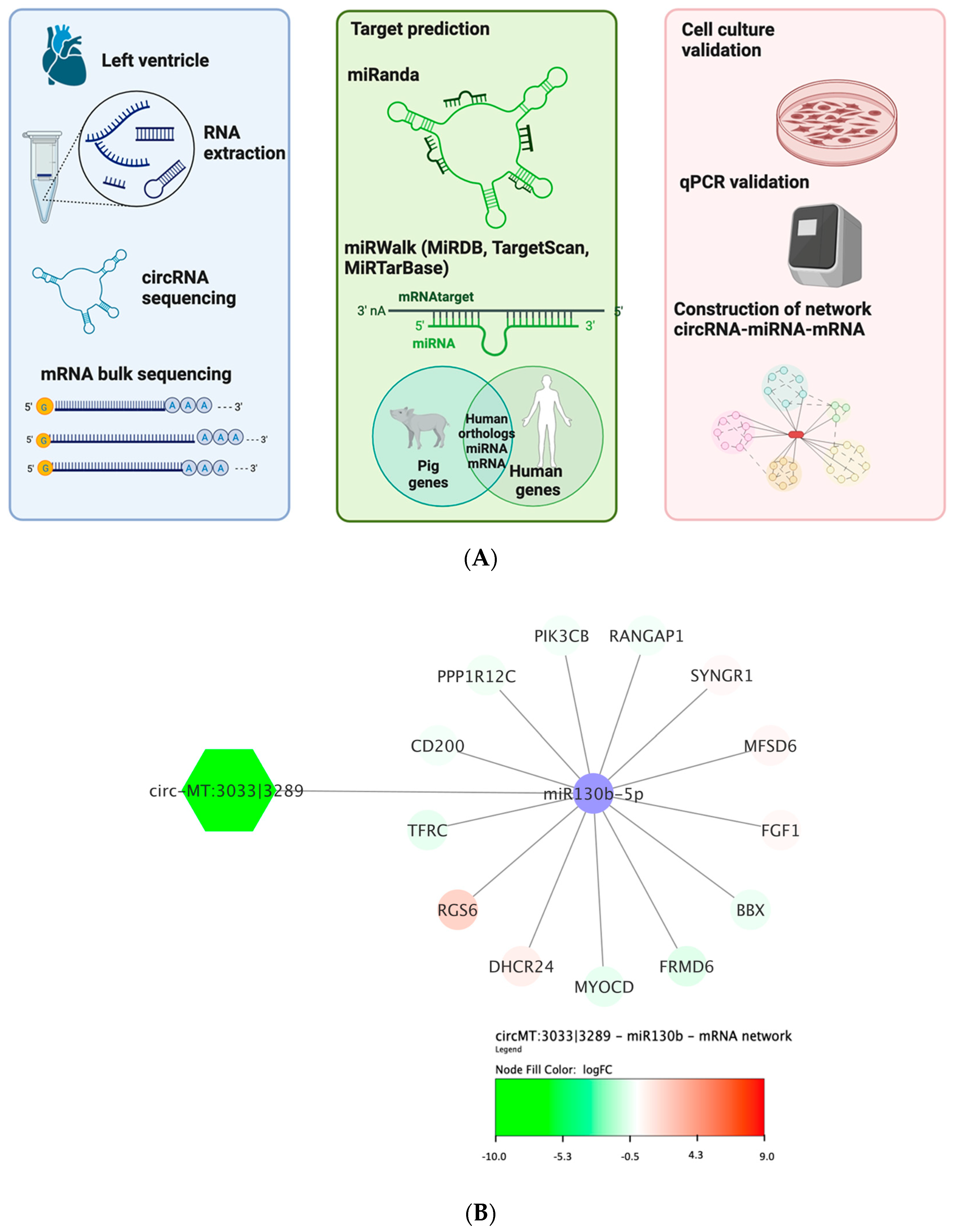 Biomolecules 13 01711 g004 Biomolecules 13 01711 g004