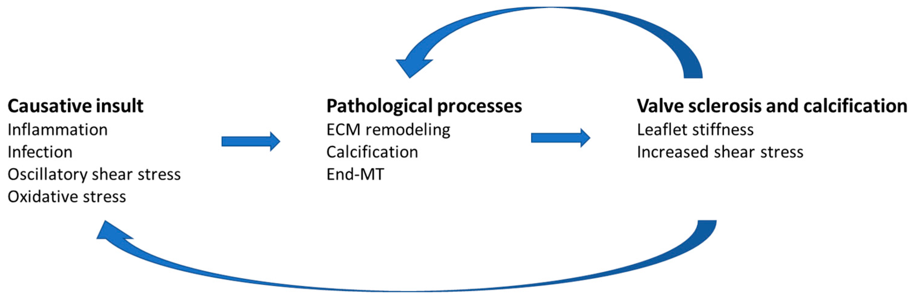 Biomolecules 13 01713 g008