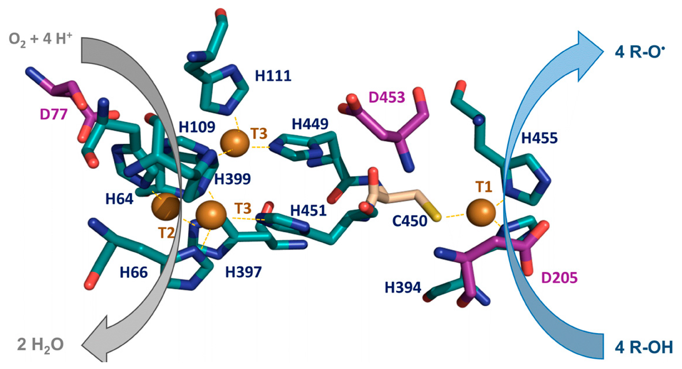 Biomolecules 13 01716 g002
