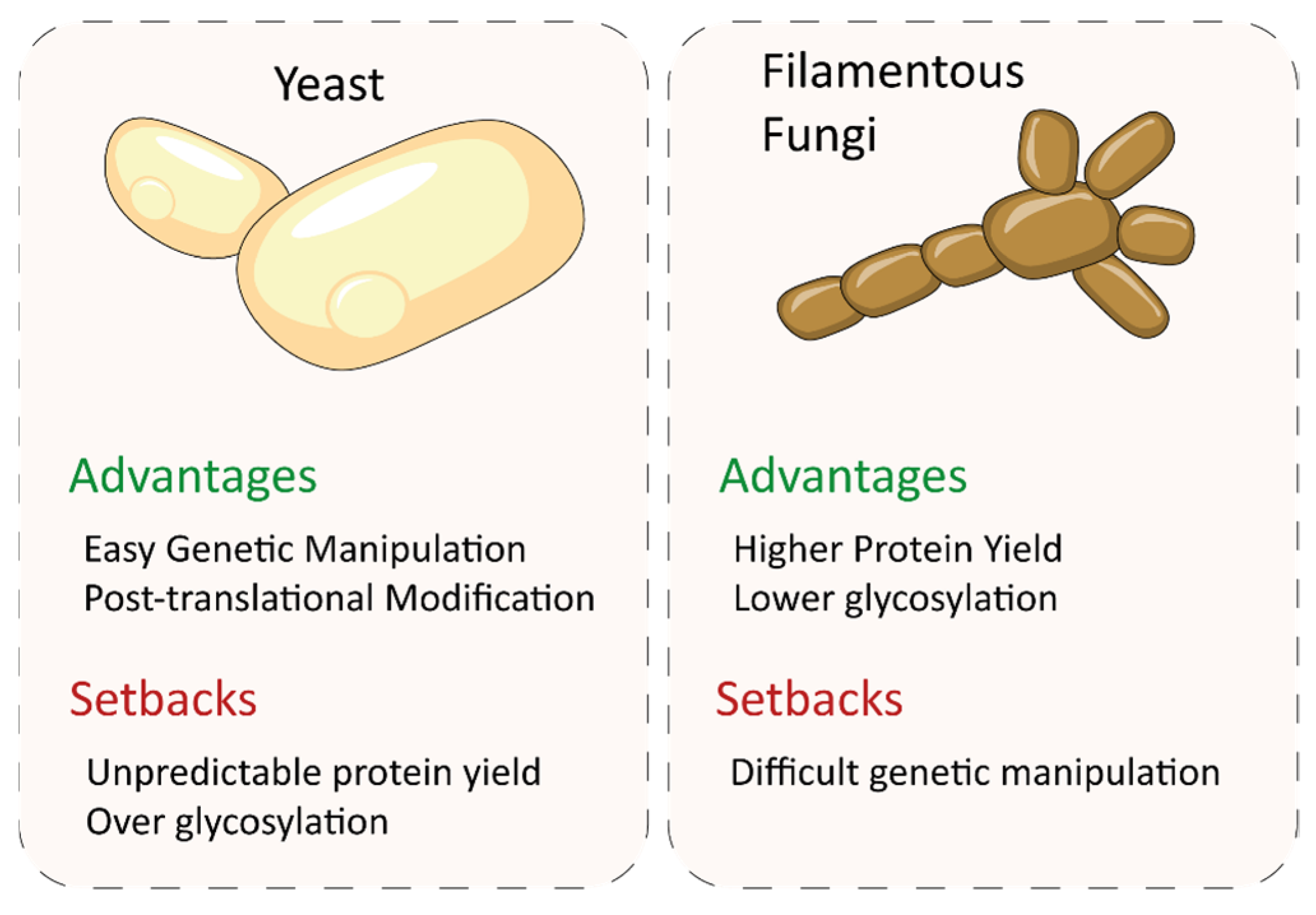 Biomolecules 13 01716 g008