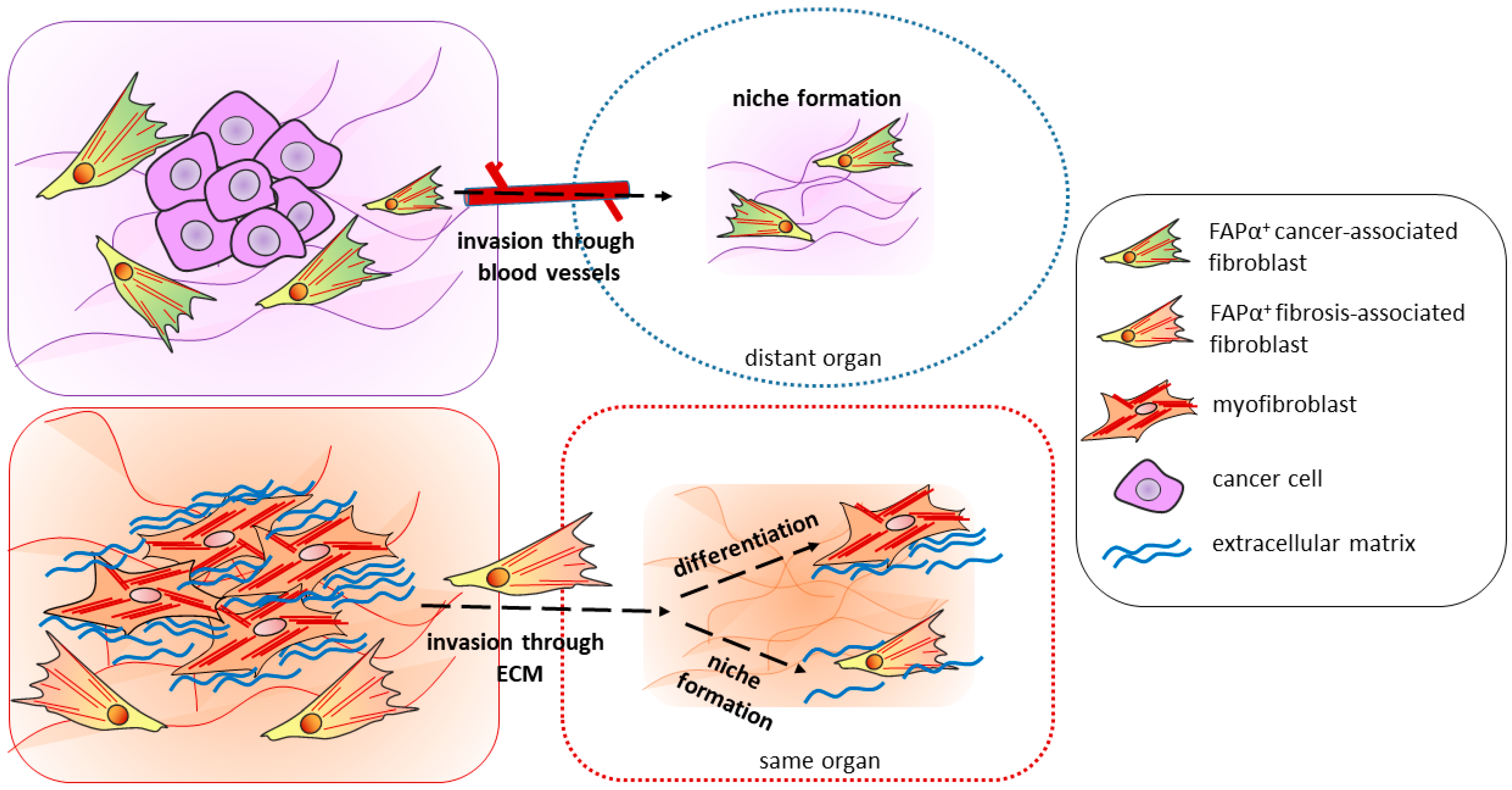 Biomolecules 13 01718 g002 Biomolecules 13 01718 g002