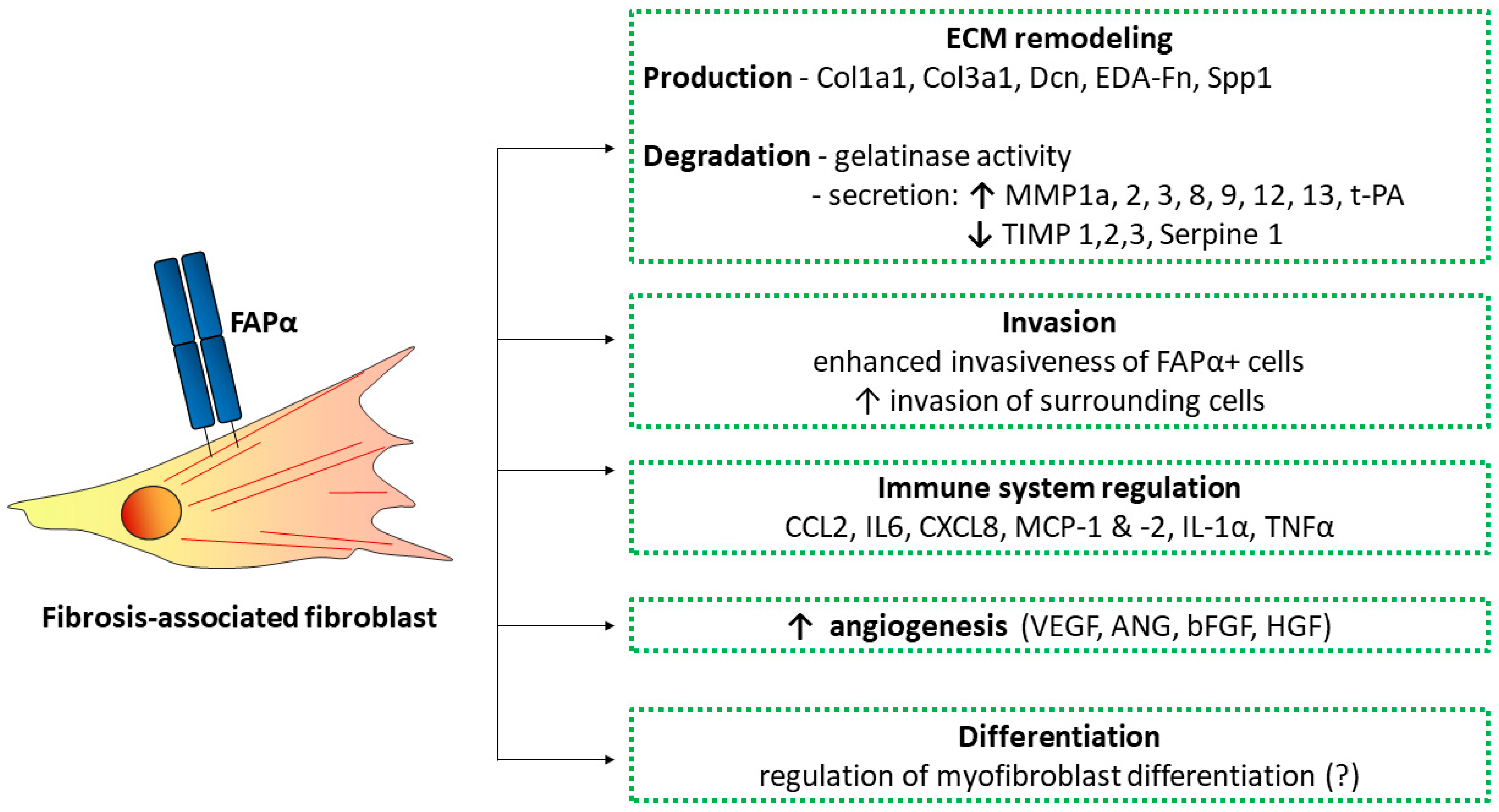 Biomolecules 13 01718 g003 Biomolecules 13 01718 g003