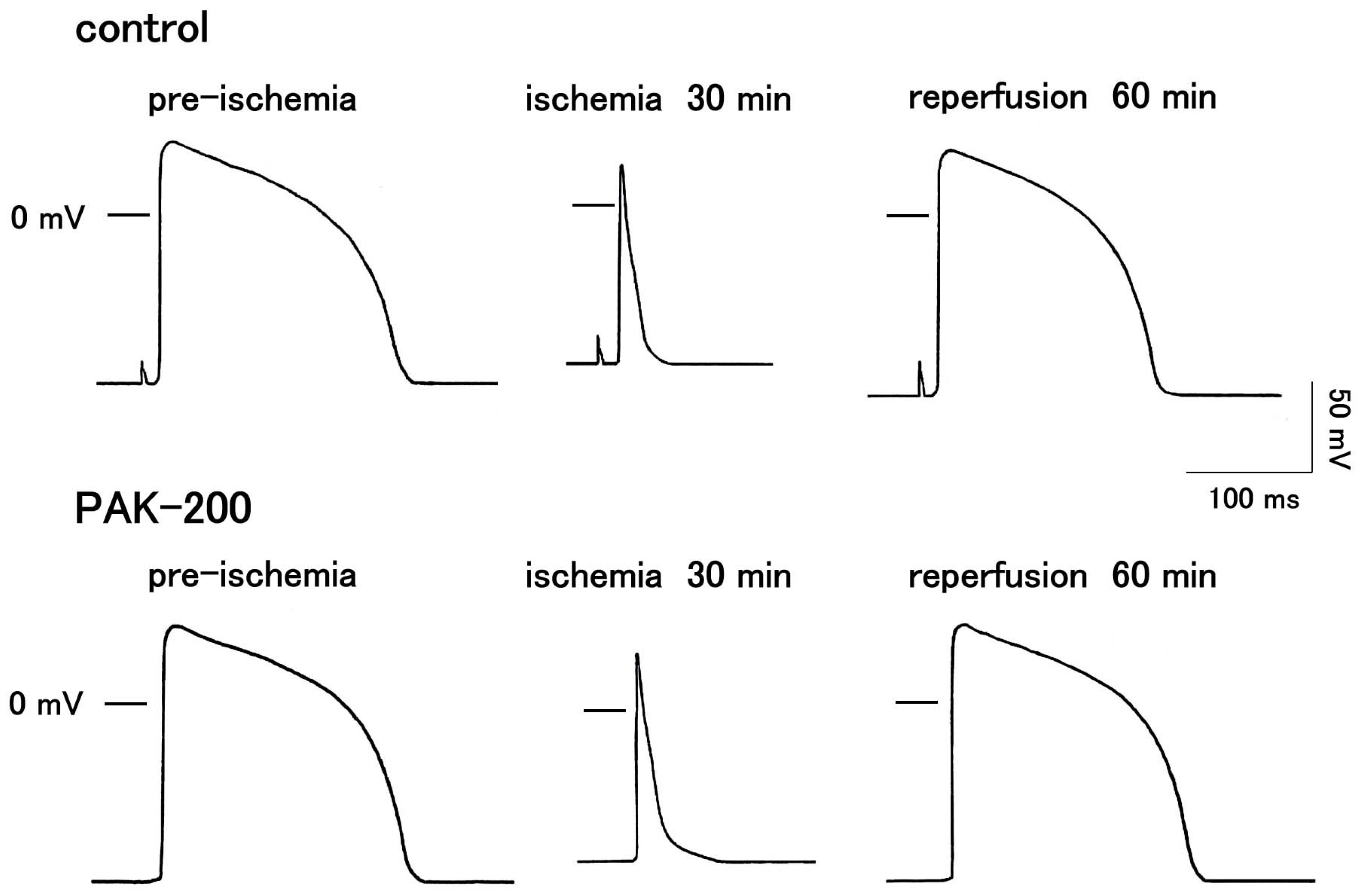 Biomolecules 13 01719 g005