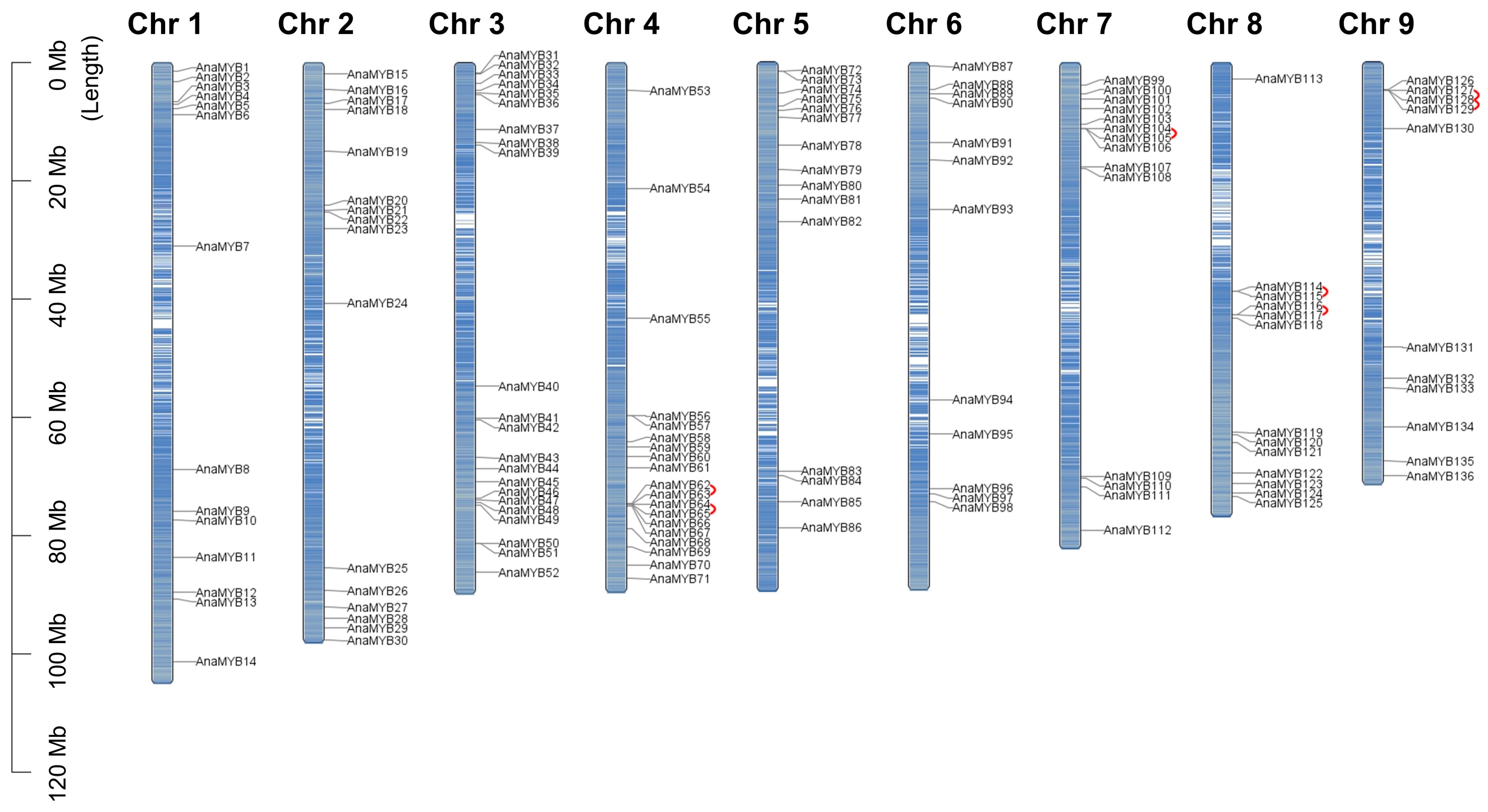 Biomolecules 13 01721 g001