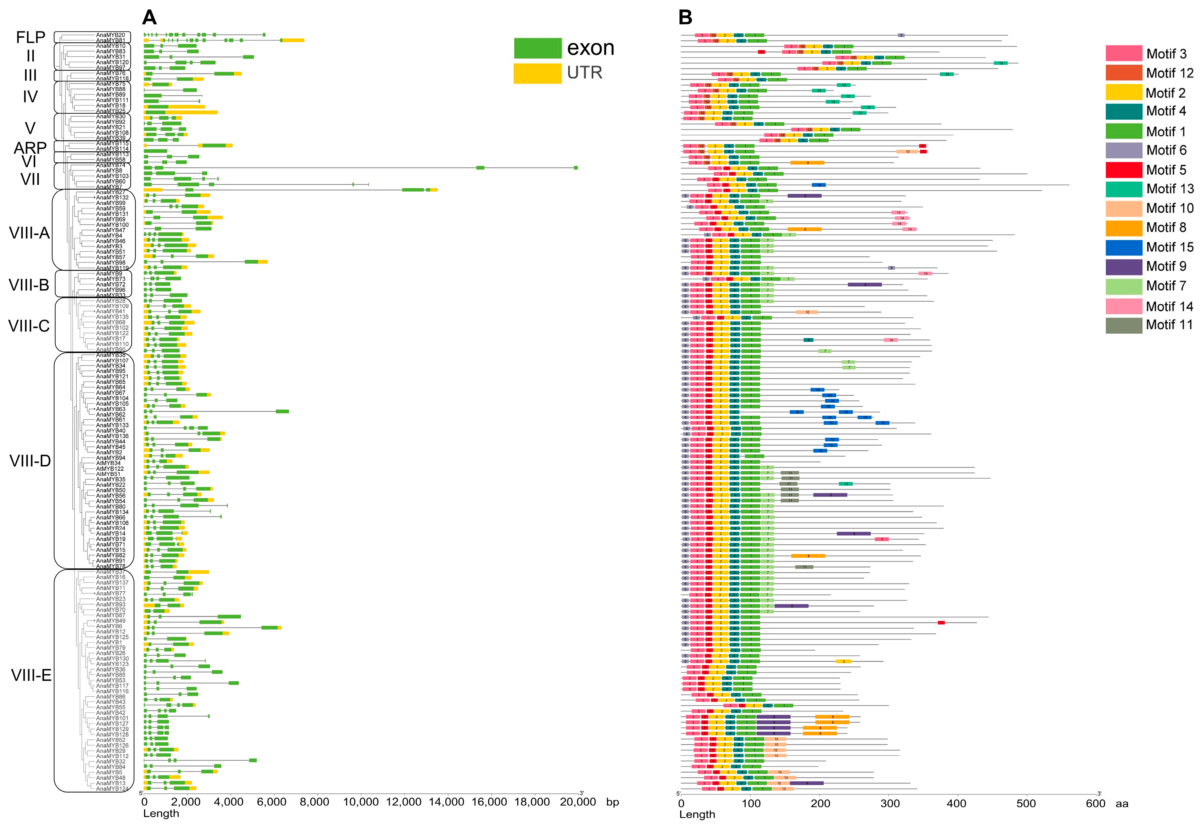 Biomolecules 13 01721 g003